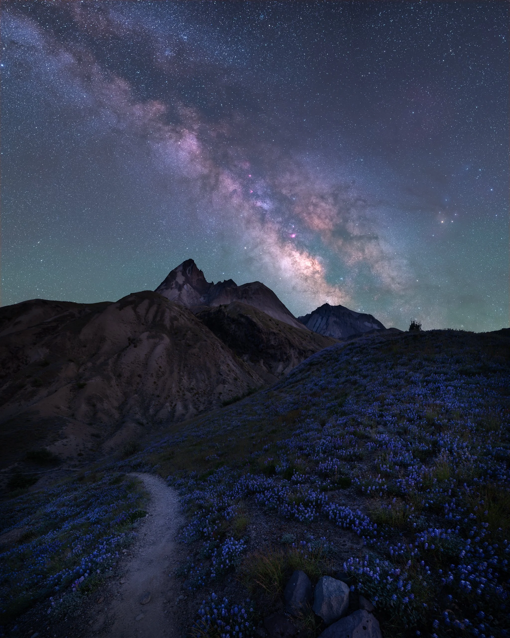 loowit-lupine-milky-way-helens.web.jpg