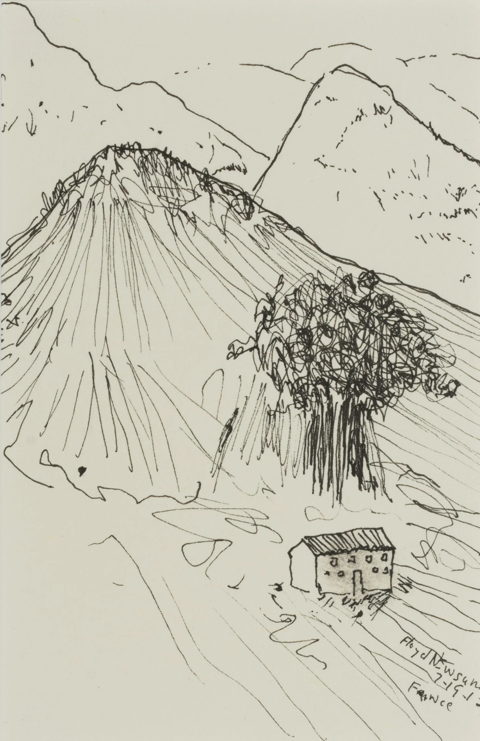 Newsum Drawings-023.JPG