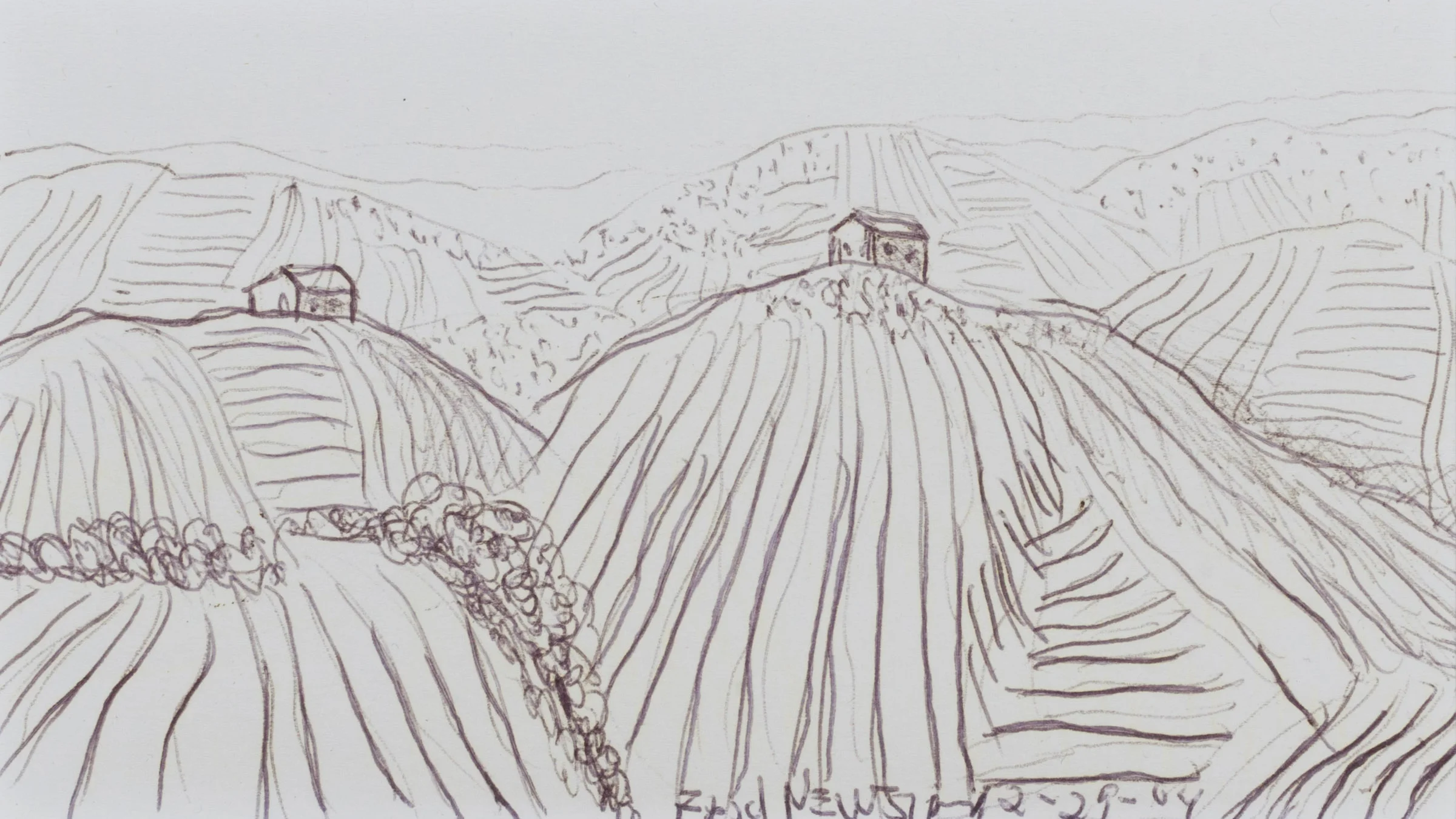 Newsum Drawings-033.JPG