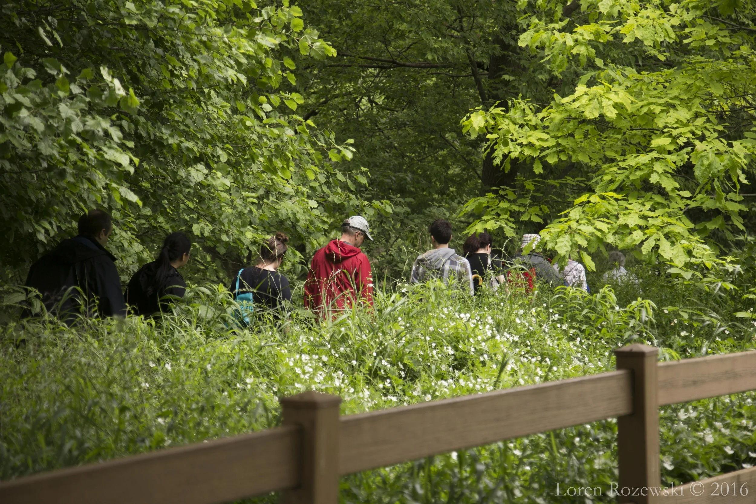 Chicago for Chicagoans, 2016
