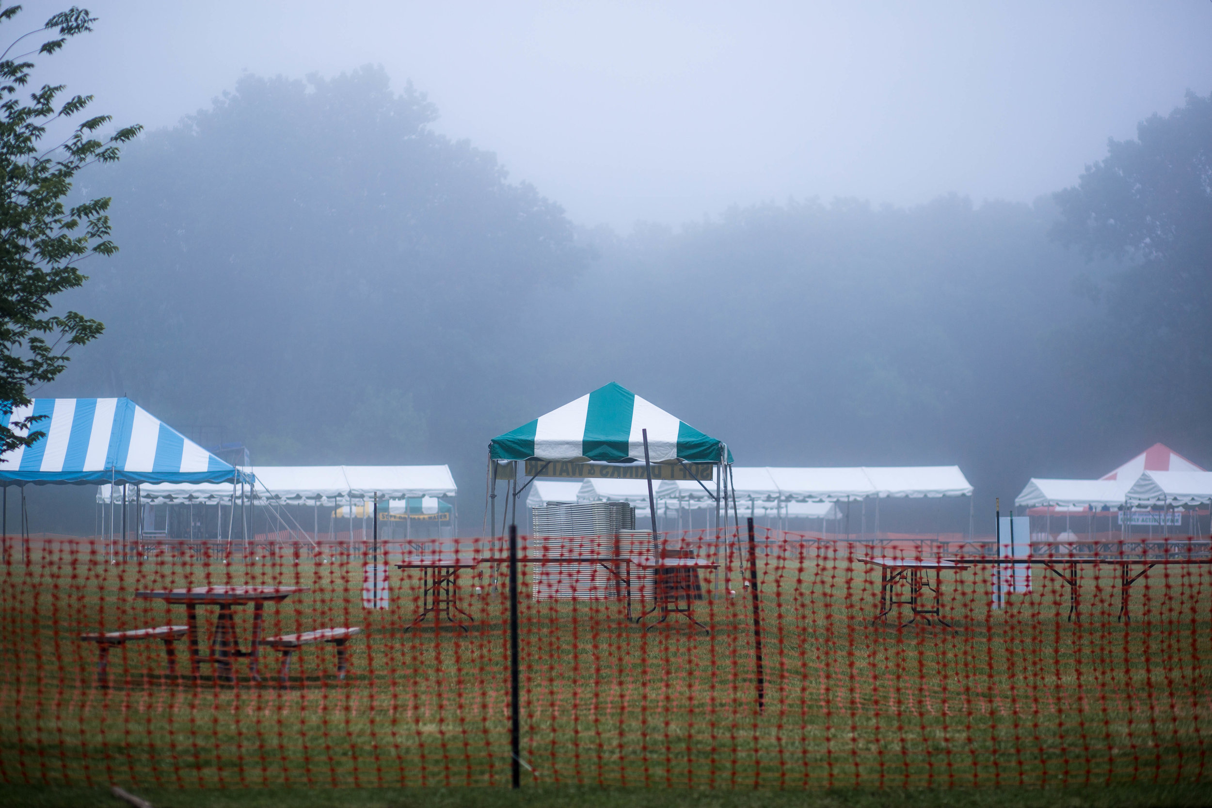 St. Paul's Woods, 2018