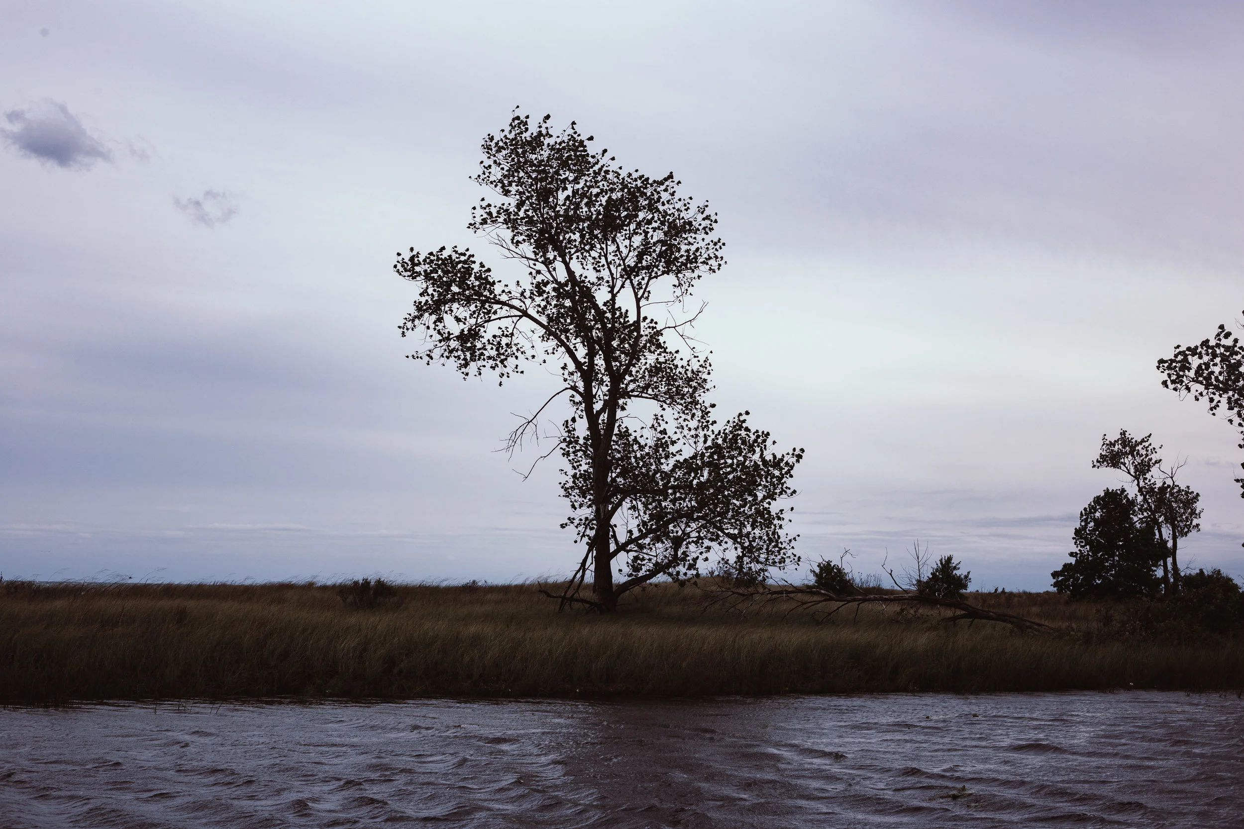 Illinois Beach State Park, 2018