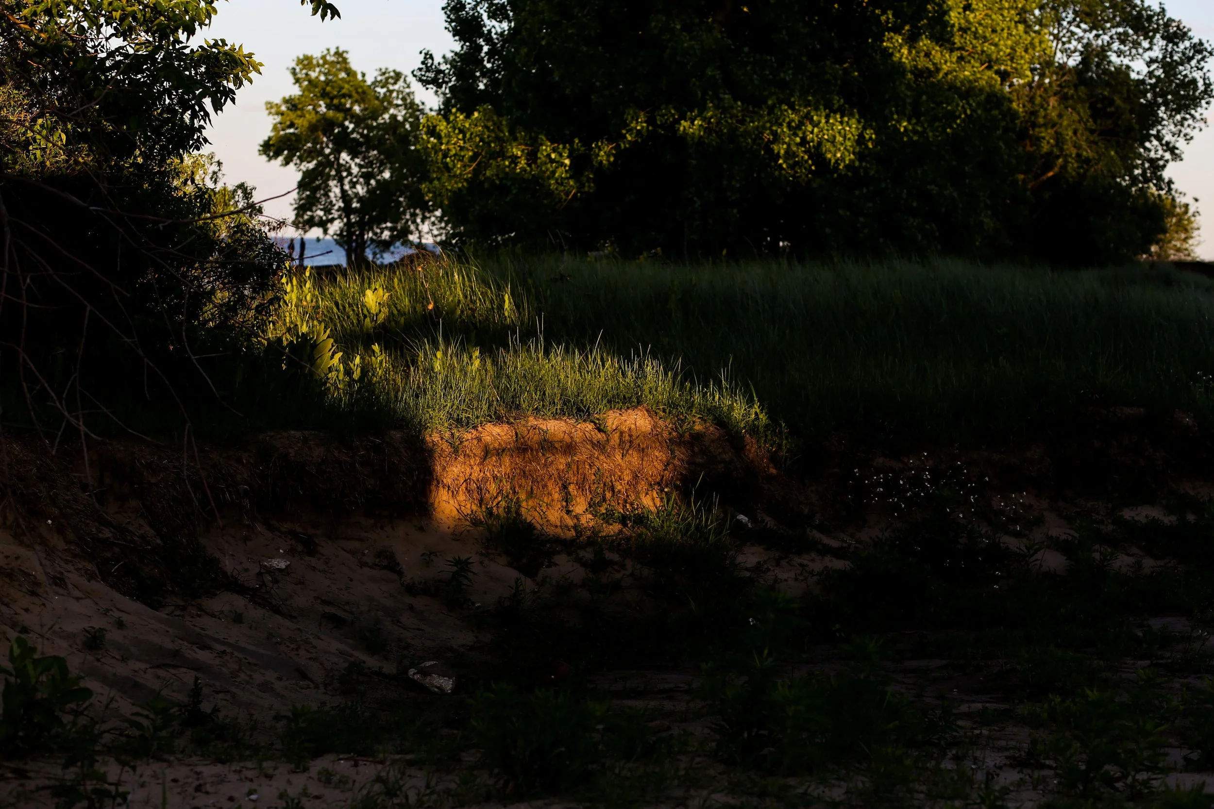 Northerly Island, 2018