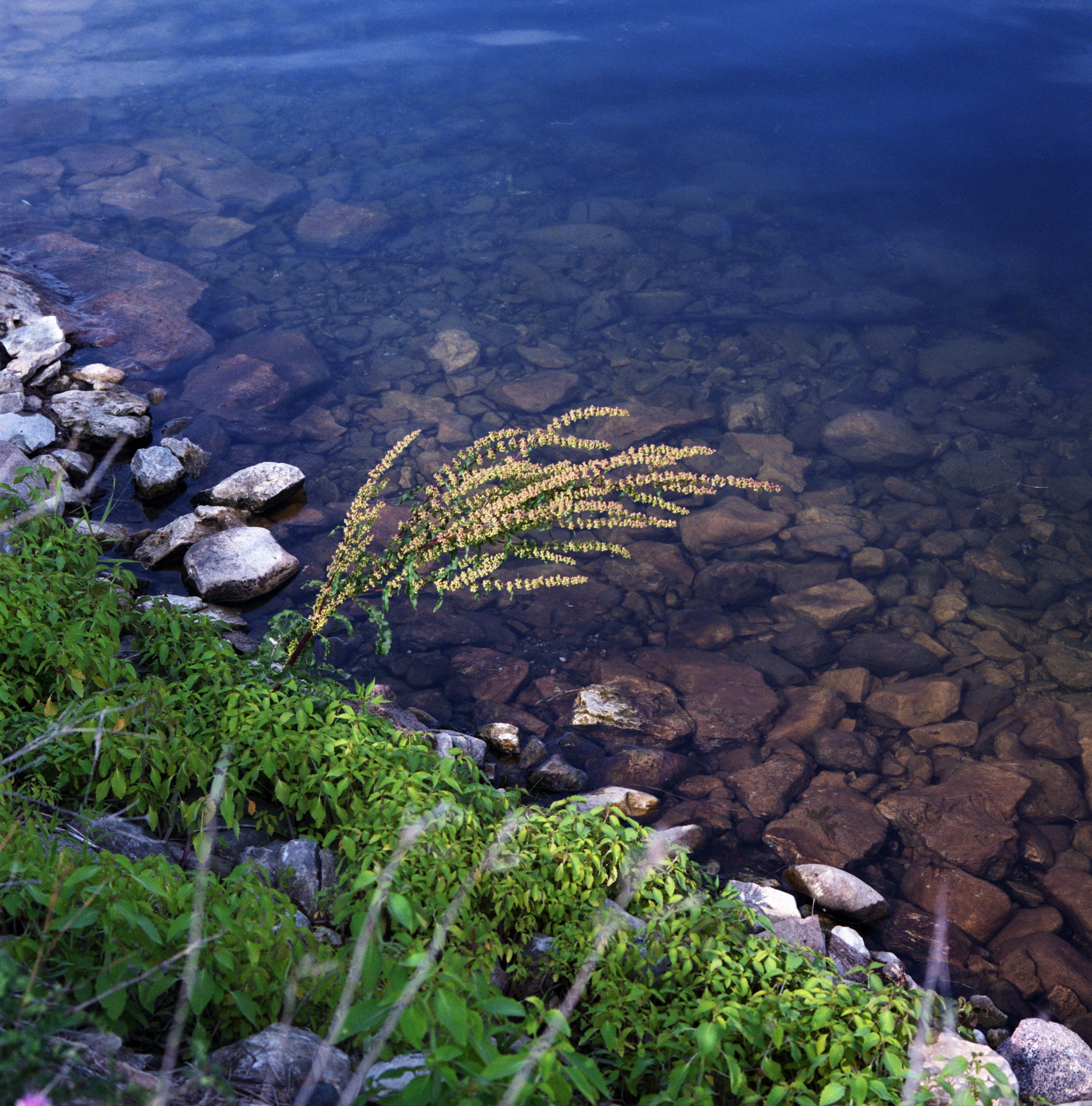 hsy_fp400_door23_002 .jpg