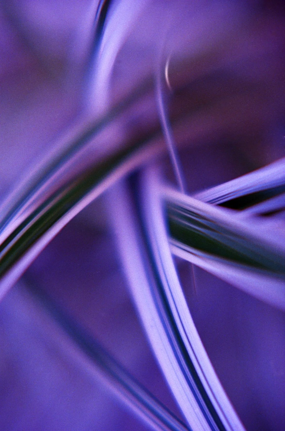 c10s_eg400_008.jpg