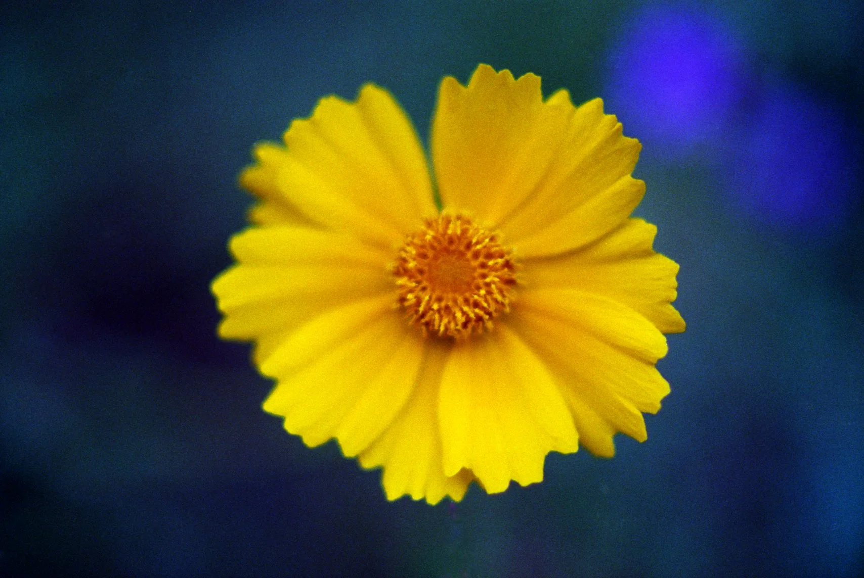 c10s_eg400_012.jpg