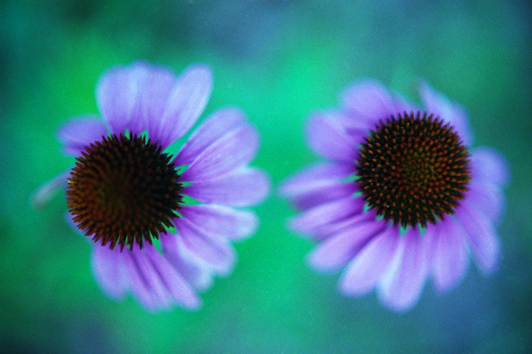 c10s_eg400_011.jpg
