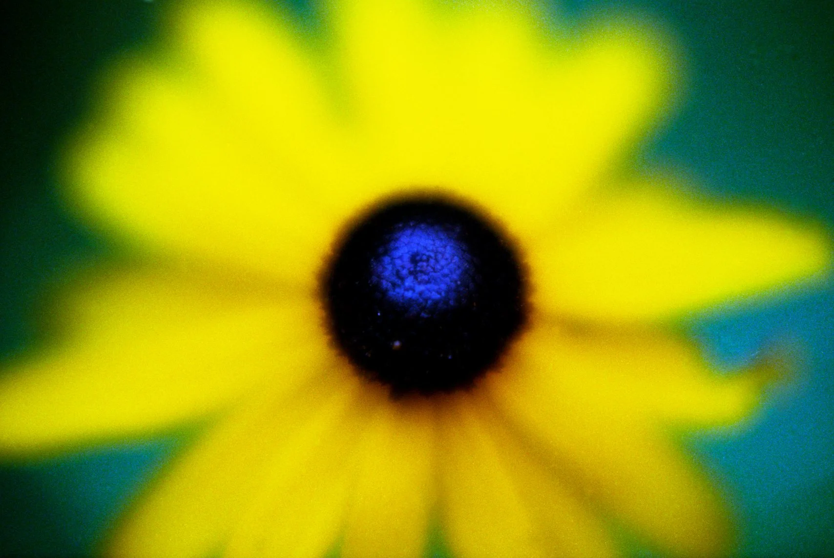 c10s_eg400_014.jpg