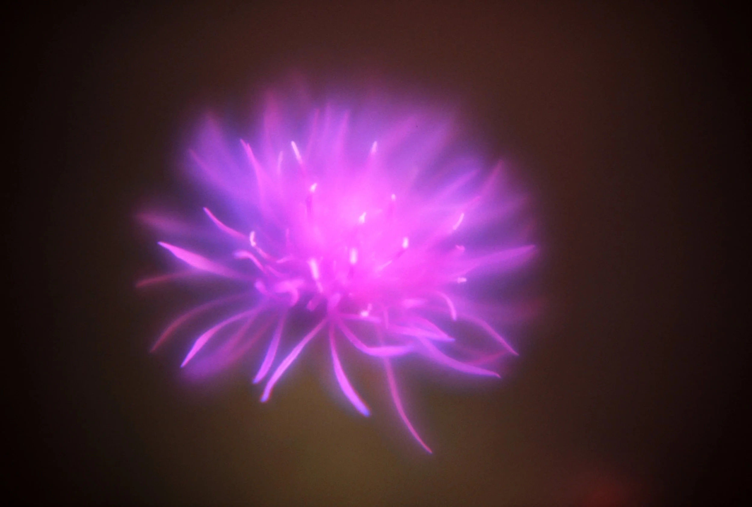 c10s_p100f_dc_010.jpg