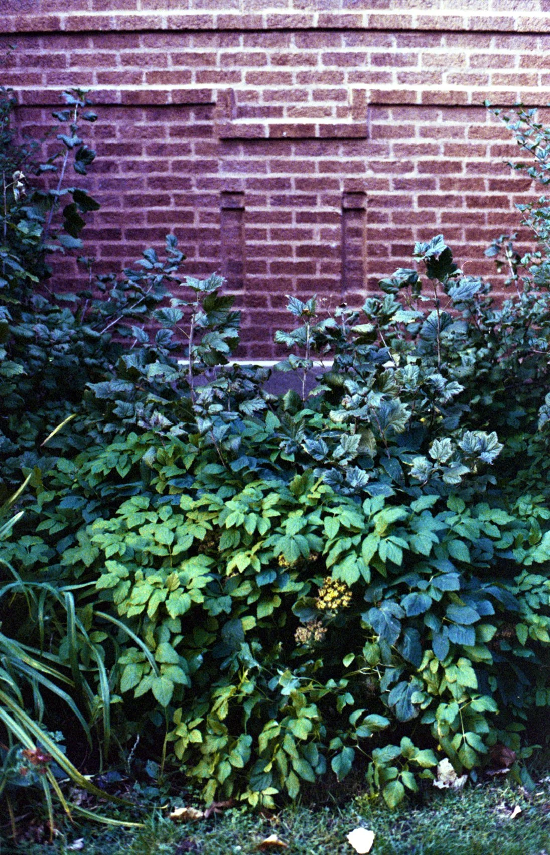 c10s_kd8-1600_017.jpg