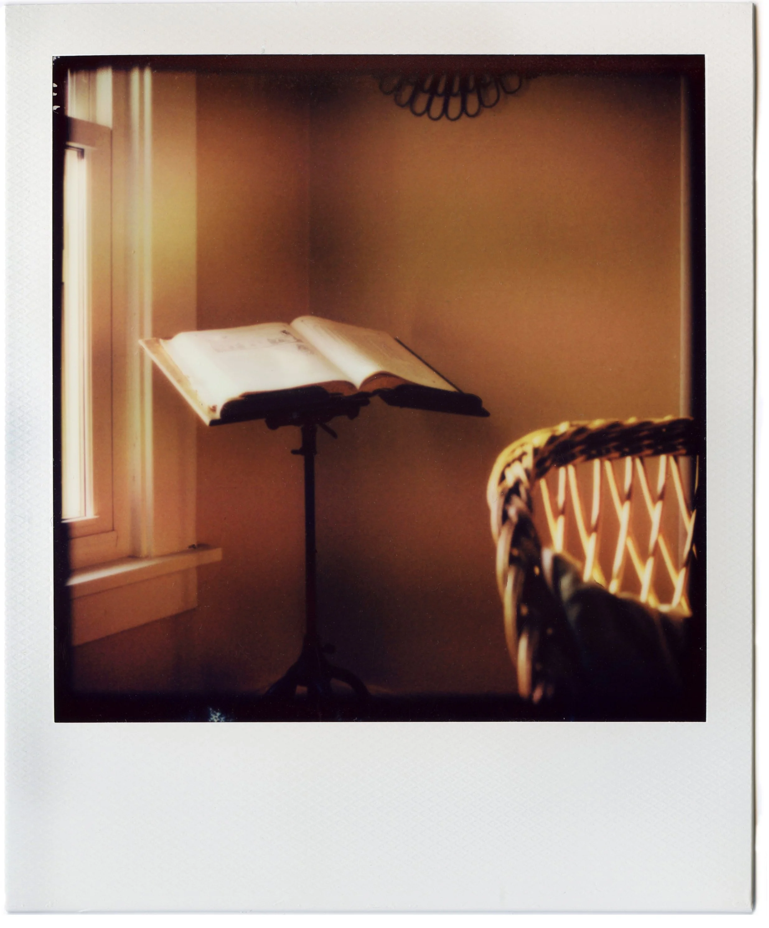 Polaroid029.jpg