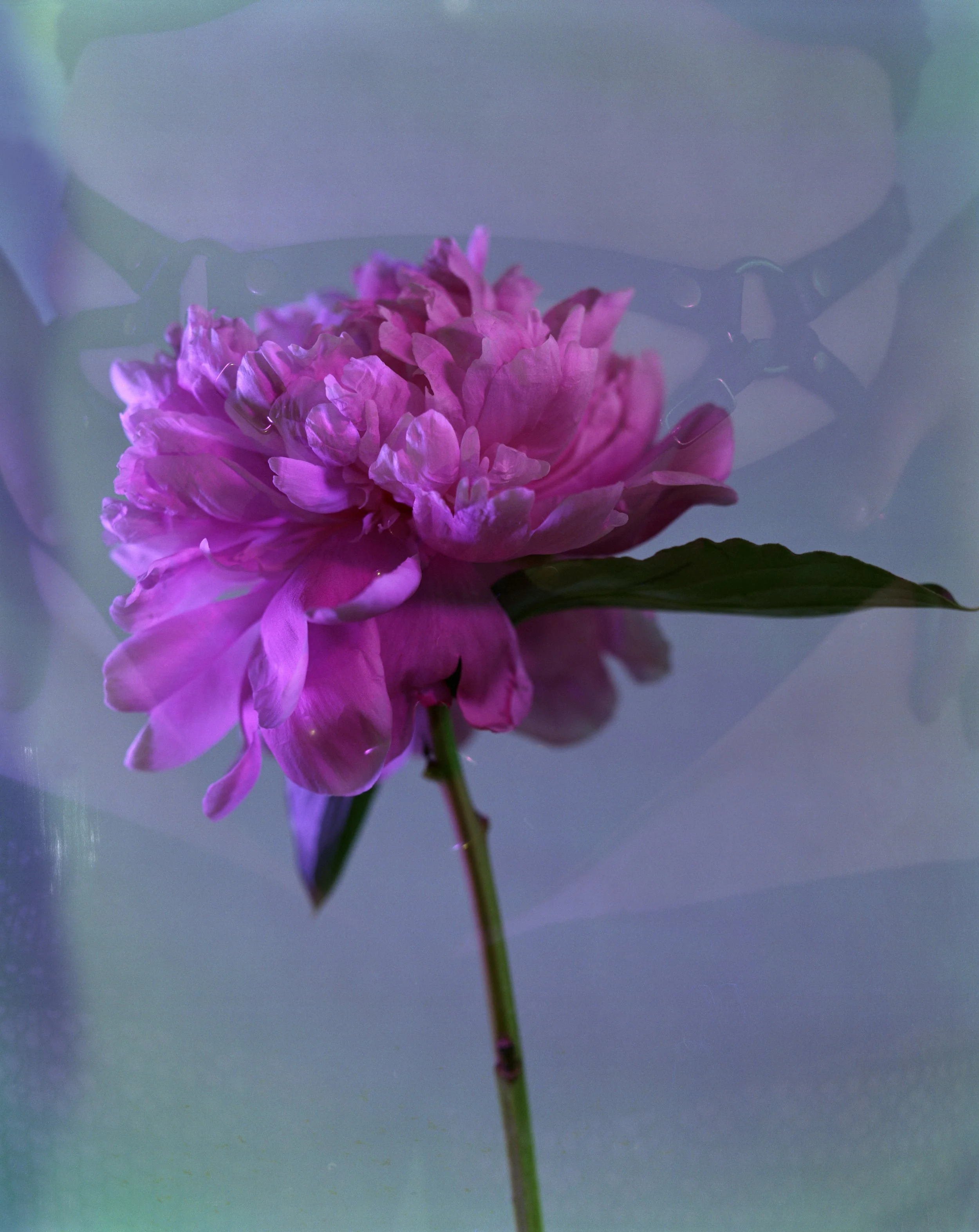 4x5as_ekp400nc_200ii.jpg
