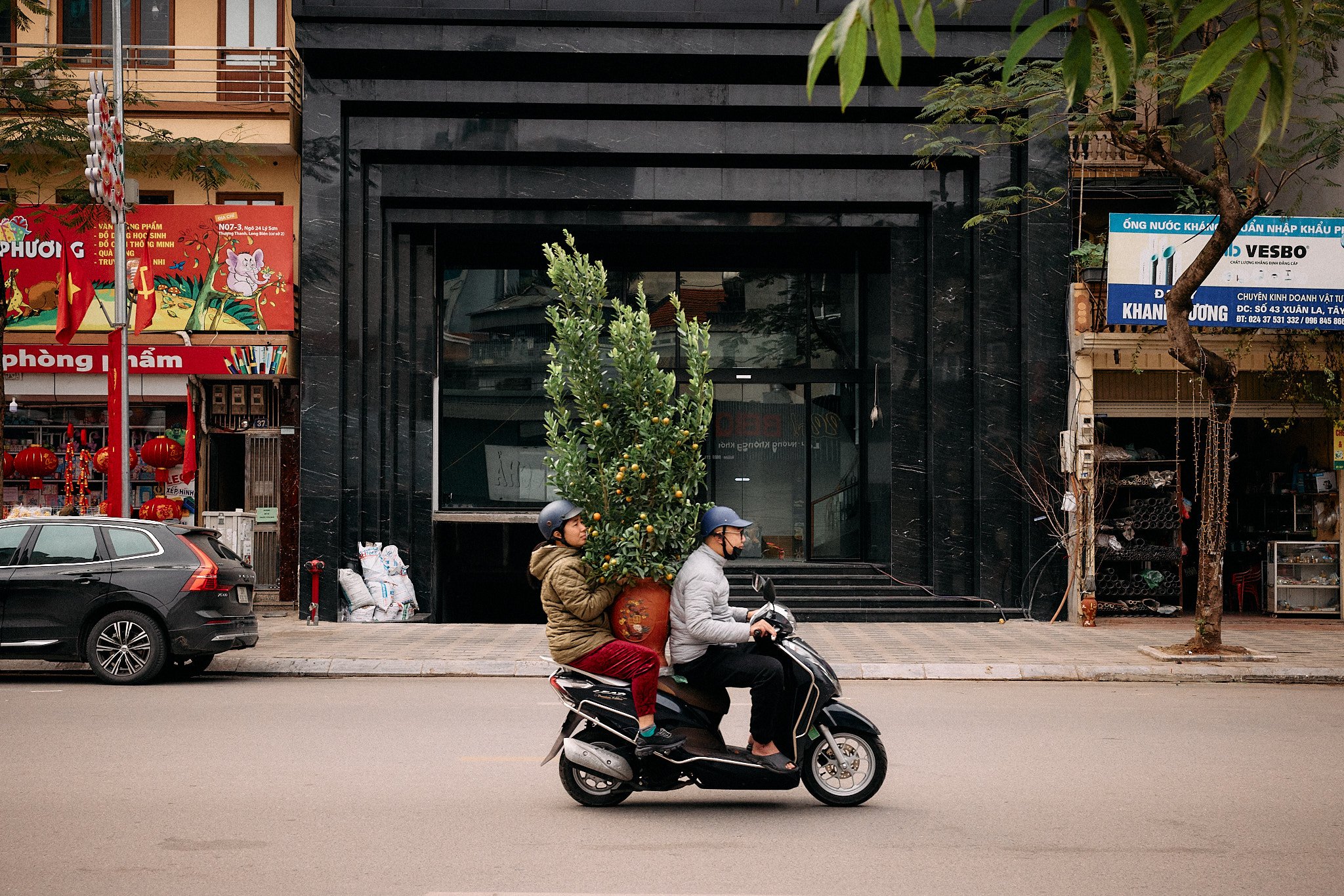 Street Photography | Kumquat Tree | Hanoi, Vietnam