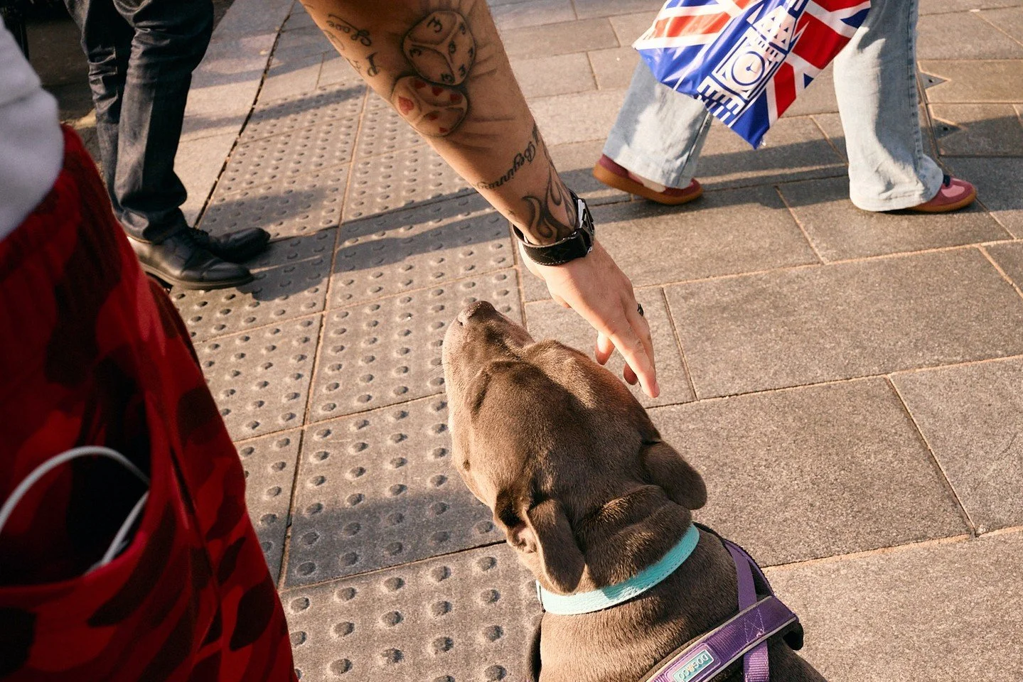 Man's best friend

London, Seoul, and Tokyo

#streetphotography 2024, 2025