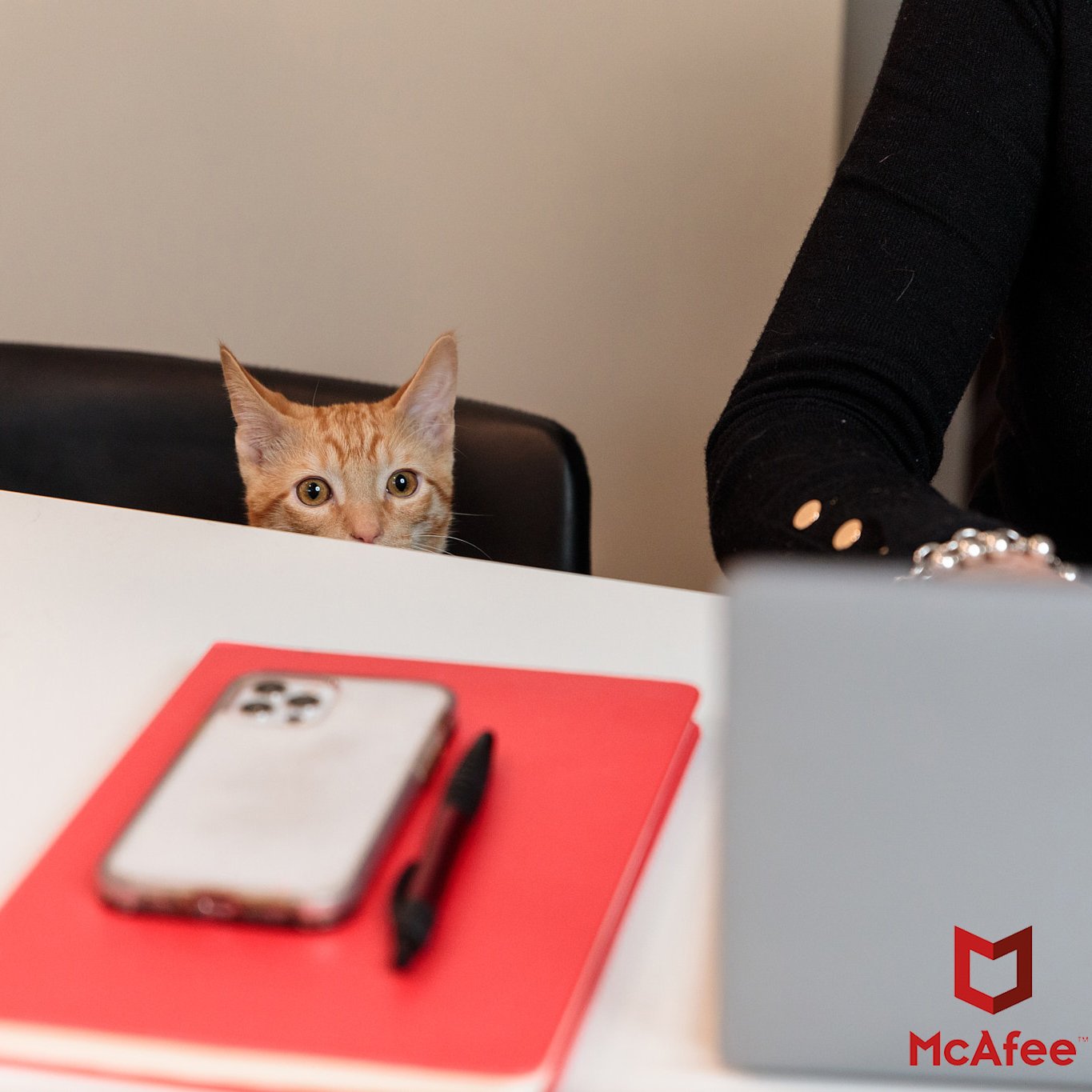 Advertising Photographer: Authentic Business Imagery