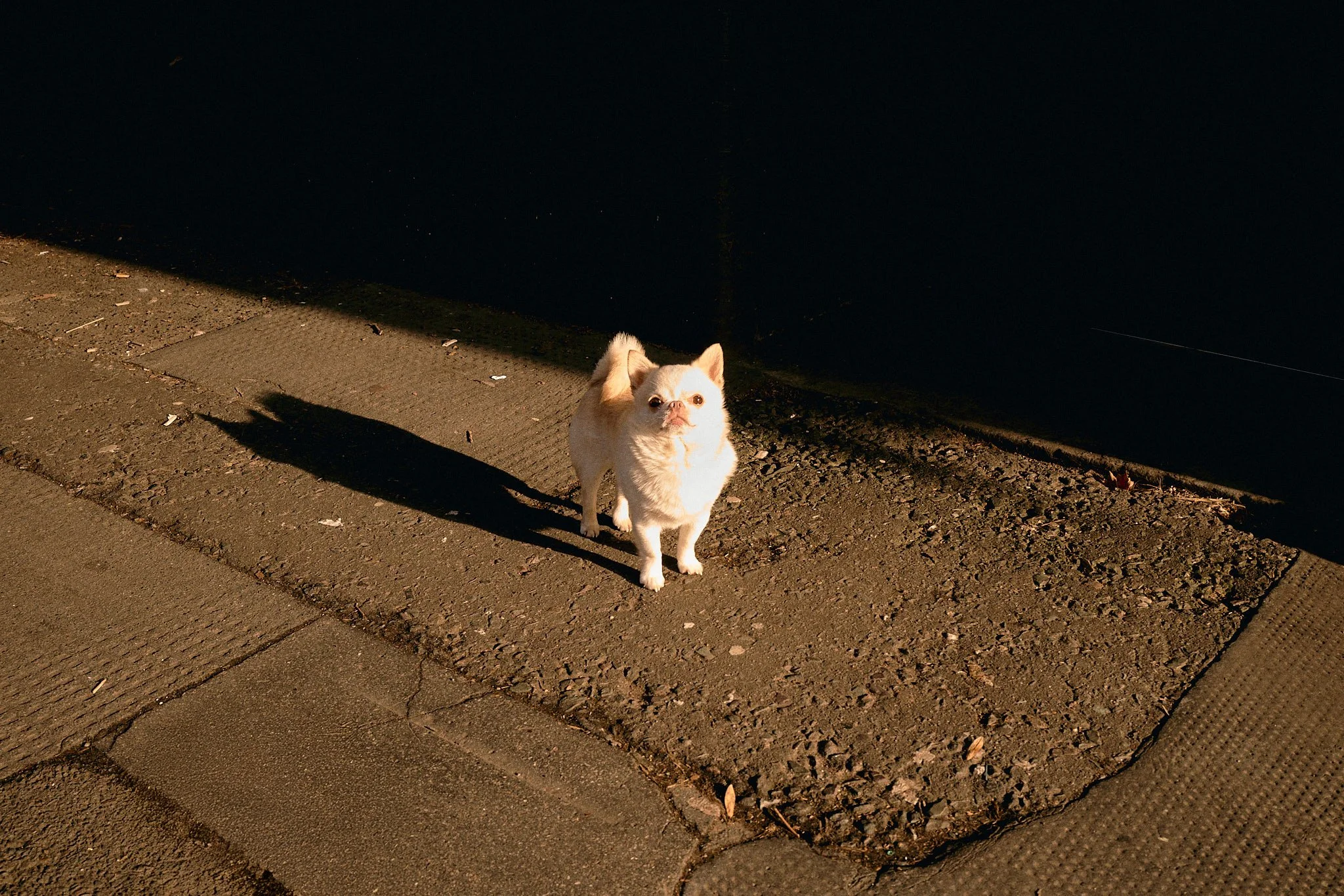 Street-Photography-London