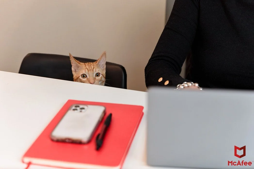 Advertising Photographer London | McAfee Employee Appreciation Campaign - Work from Home