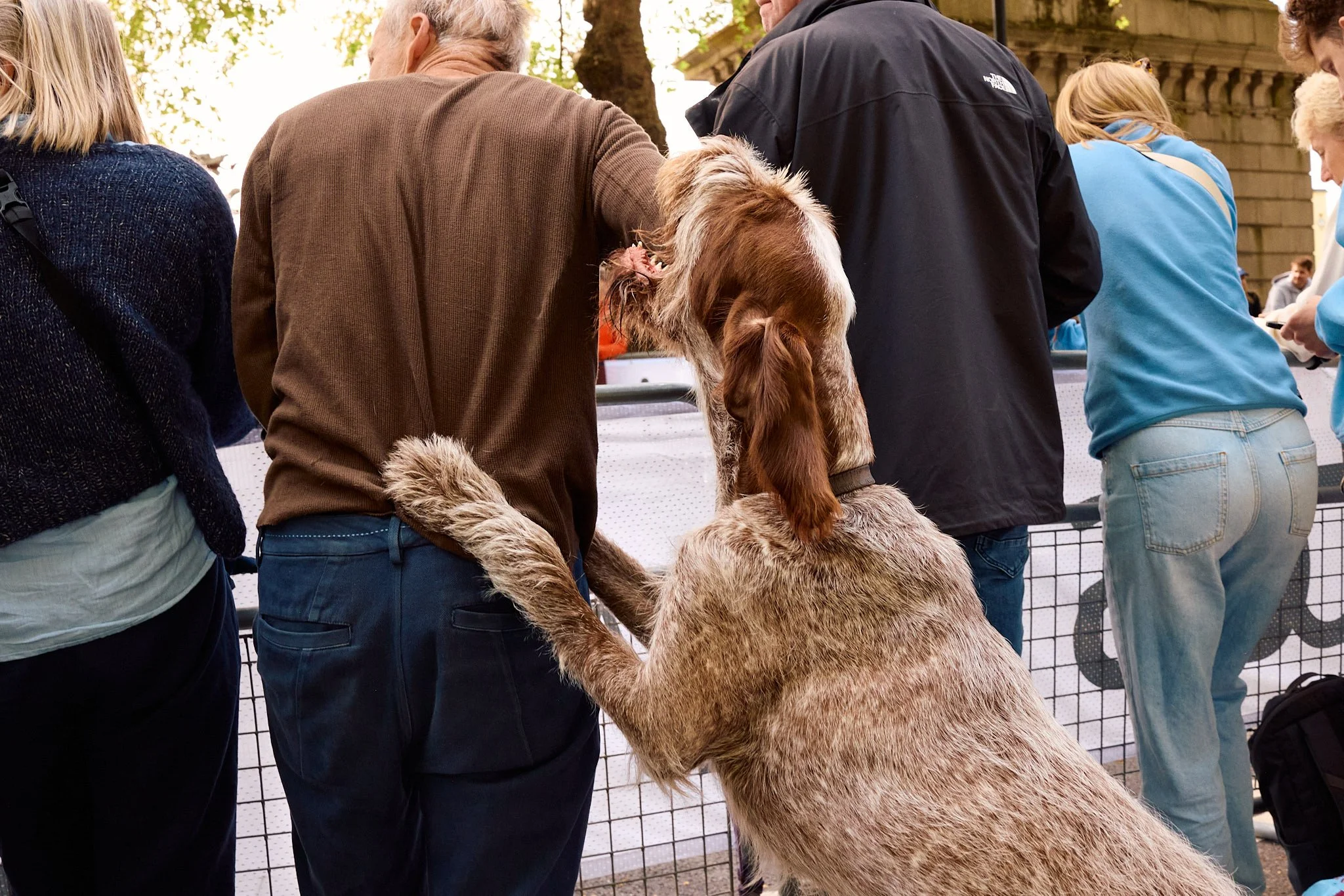 Street Photography London | Dog Bite