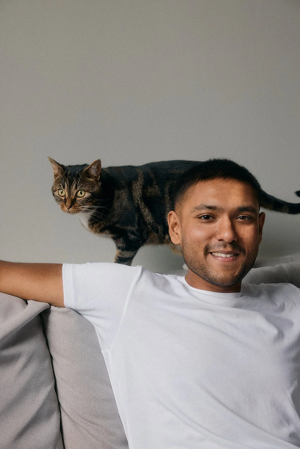 Dating Photographer London | Cat Portrait on the Sofa