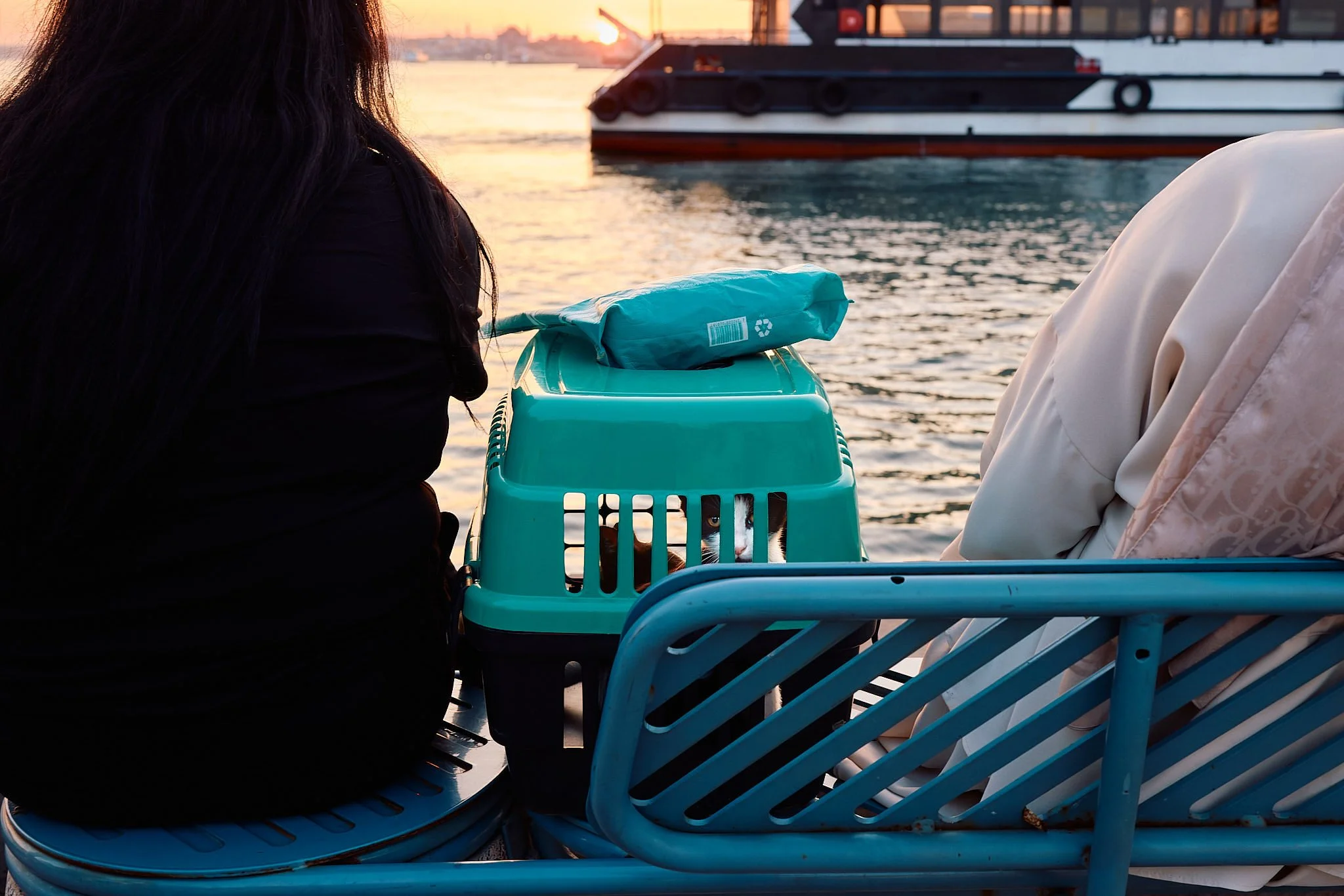 Street Photography: Travel | Cat in Carrier | Istanbul, Turkey