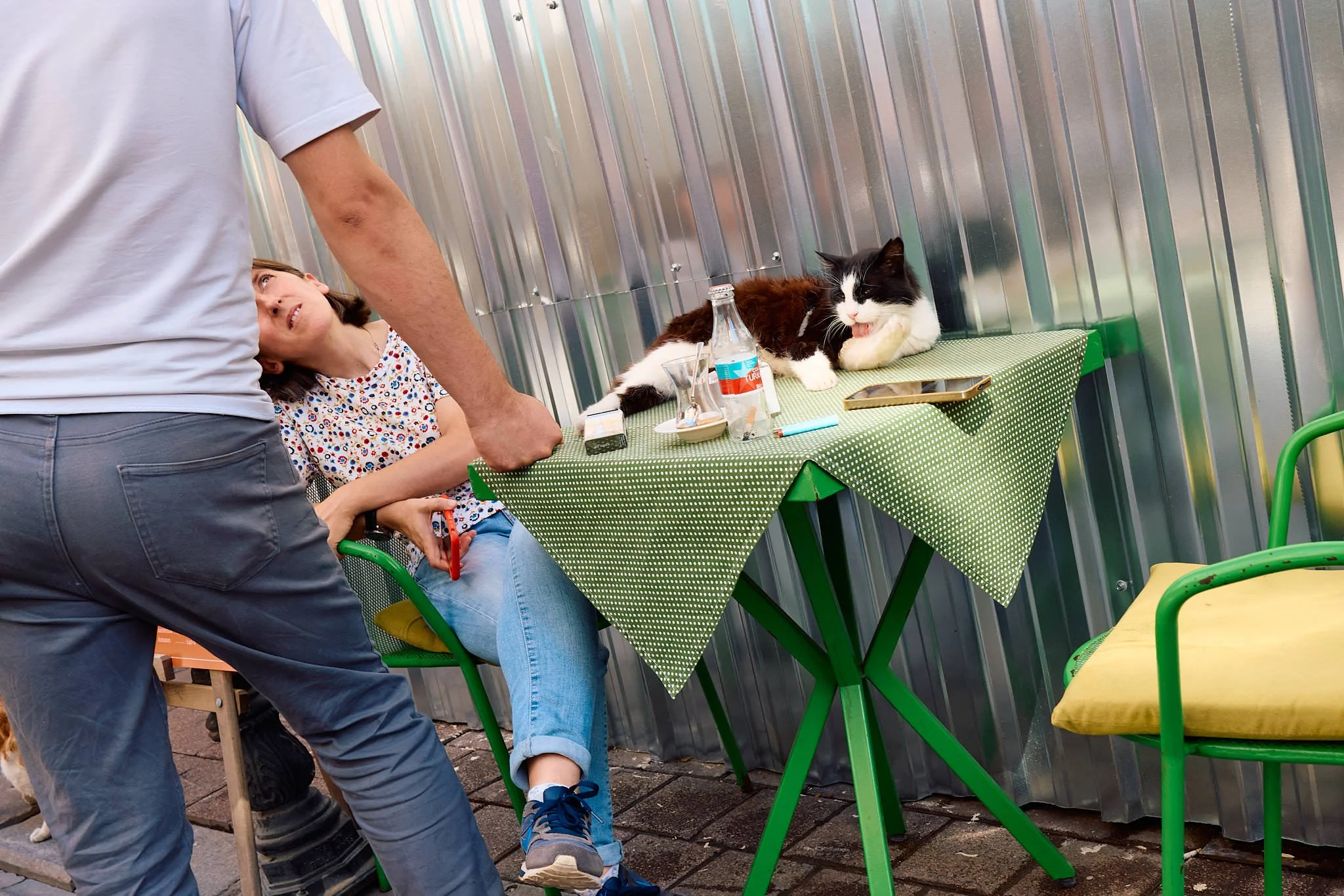 Balat Street Cats | Café Table Takeover