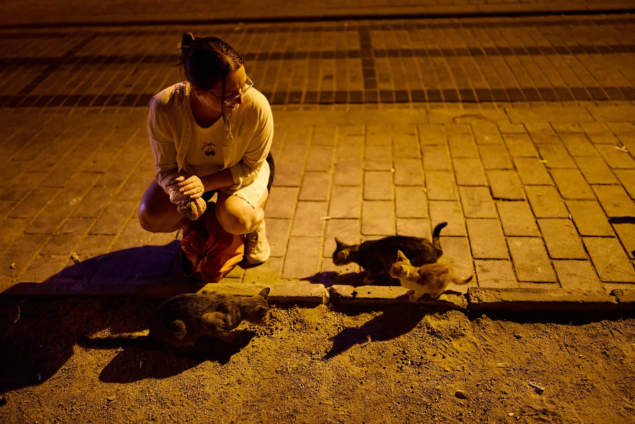 Istanbul Street Cats | Kira on Night Feeding Duty