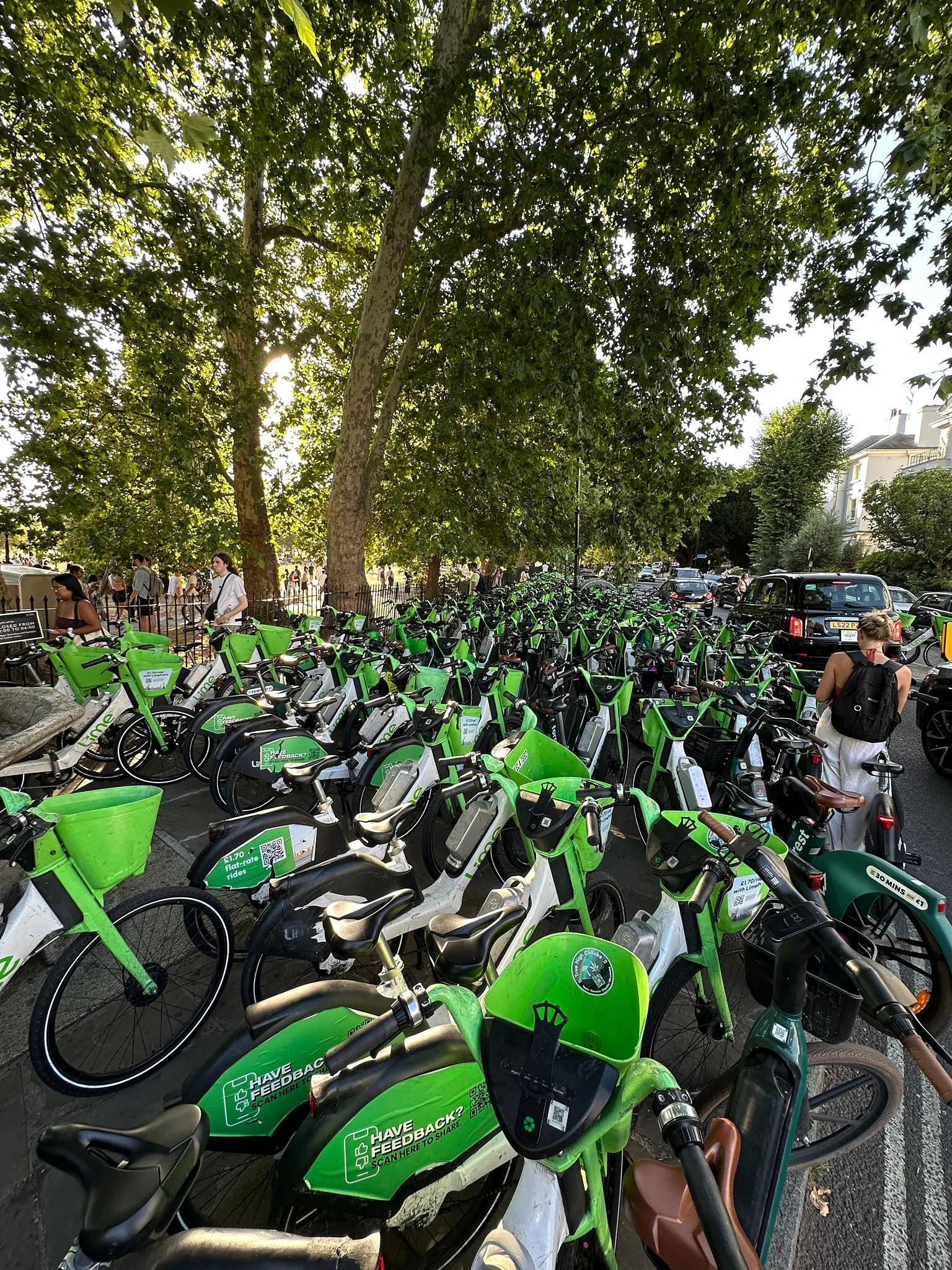 Hundreds of green Lime e-bikes packed along a tree-lined road beside Primrose Hill on the evening of the solar eclipse