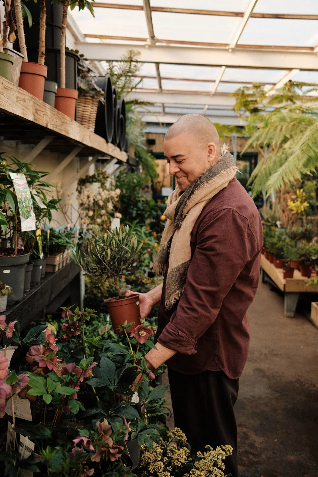 Dating photography of man holding plants in a garden nursery store surrounded by green lush leaves, candid and relaxed for app profiles