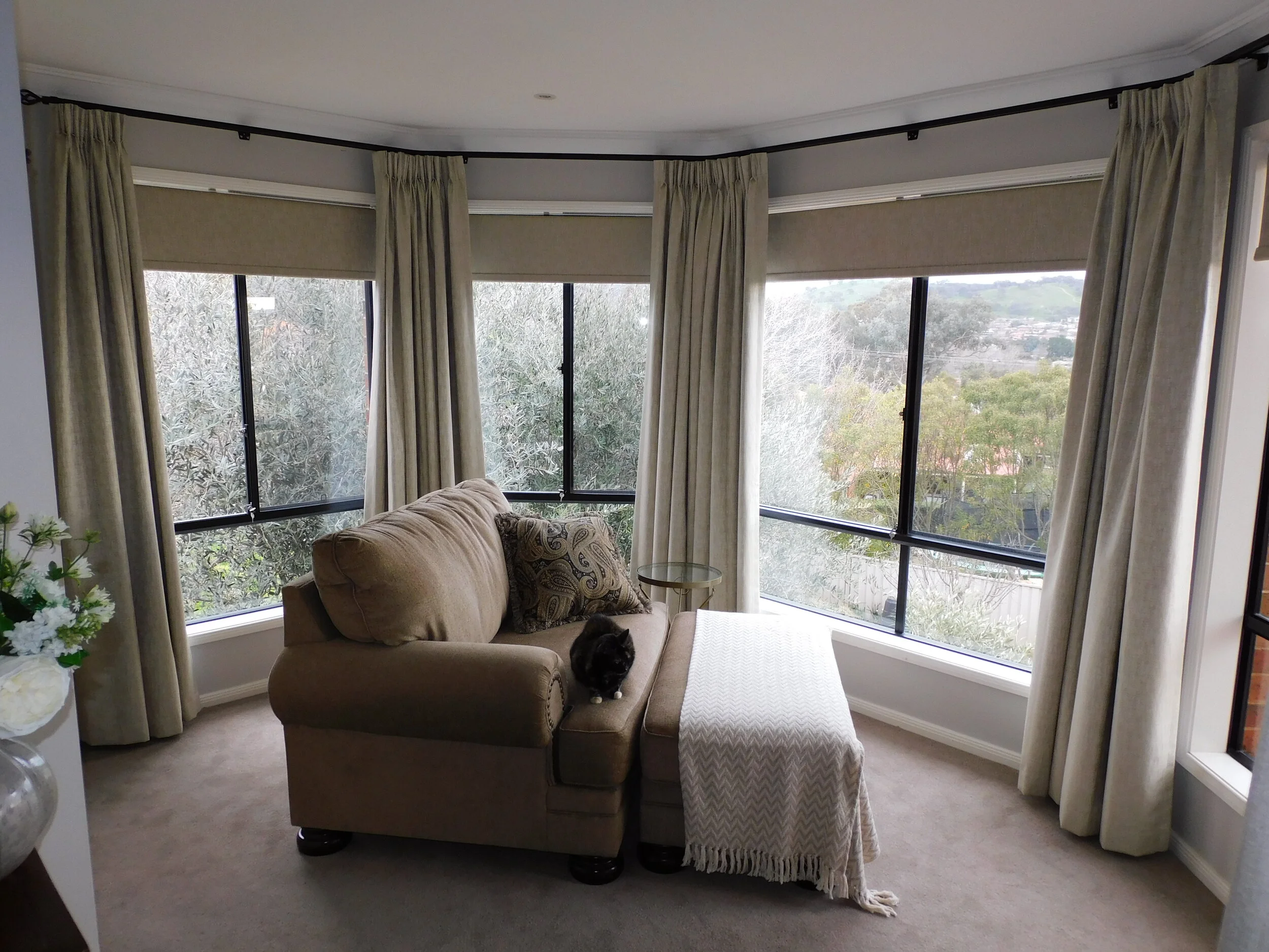 curtains cat.JPG