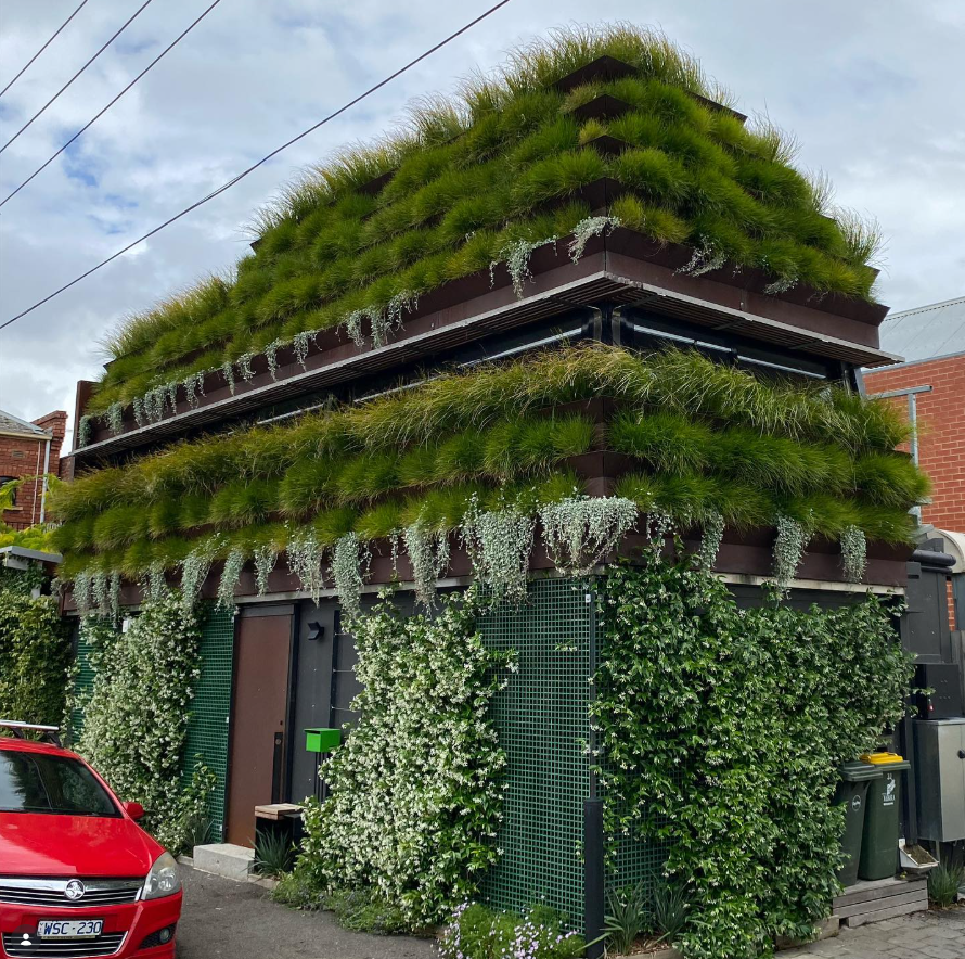 North Fitzroy Grassy House
