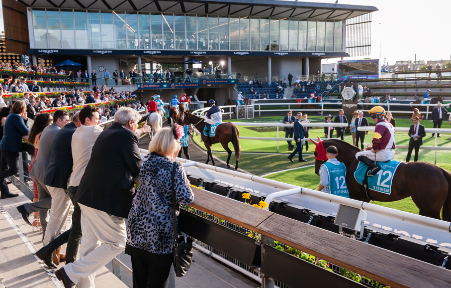 SATKES DAY RANDWICK.png