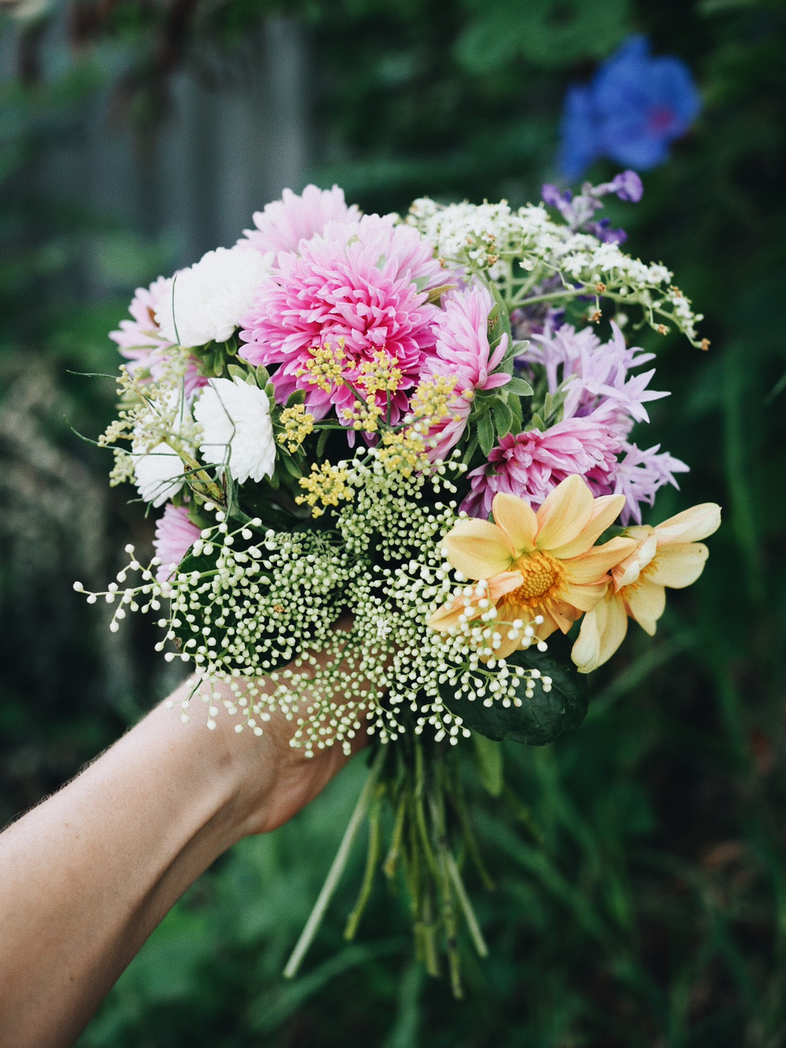 17 Ways Our Gardens Can Help Us in Lockdown