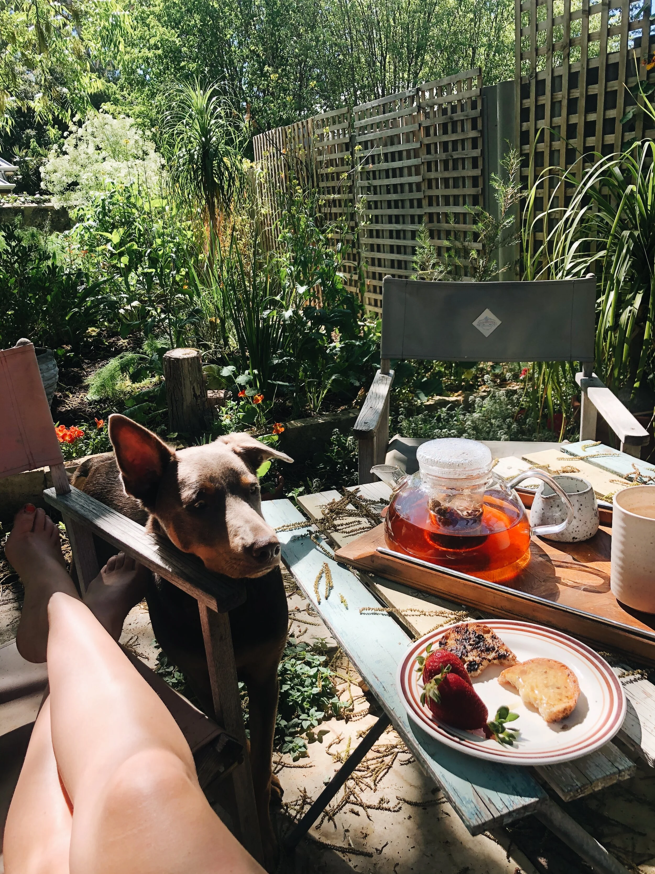 The perfect spot for sunny breakfasts