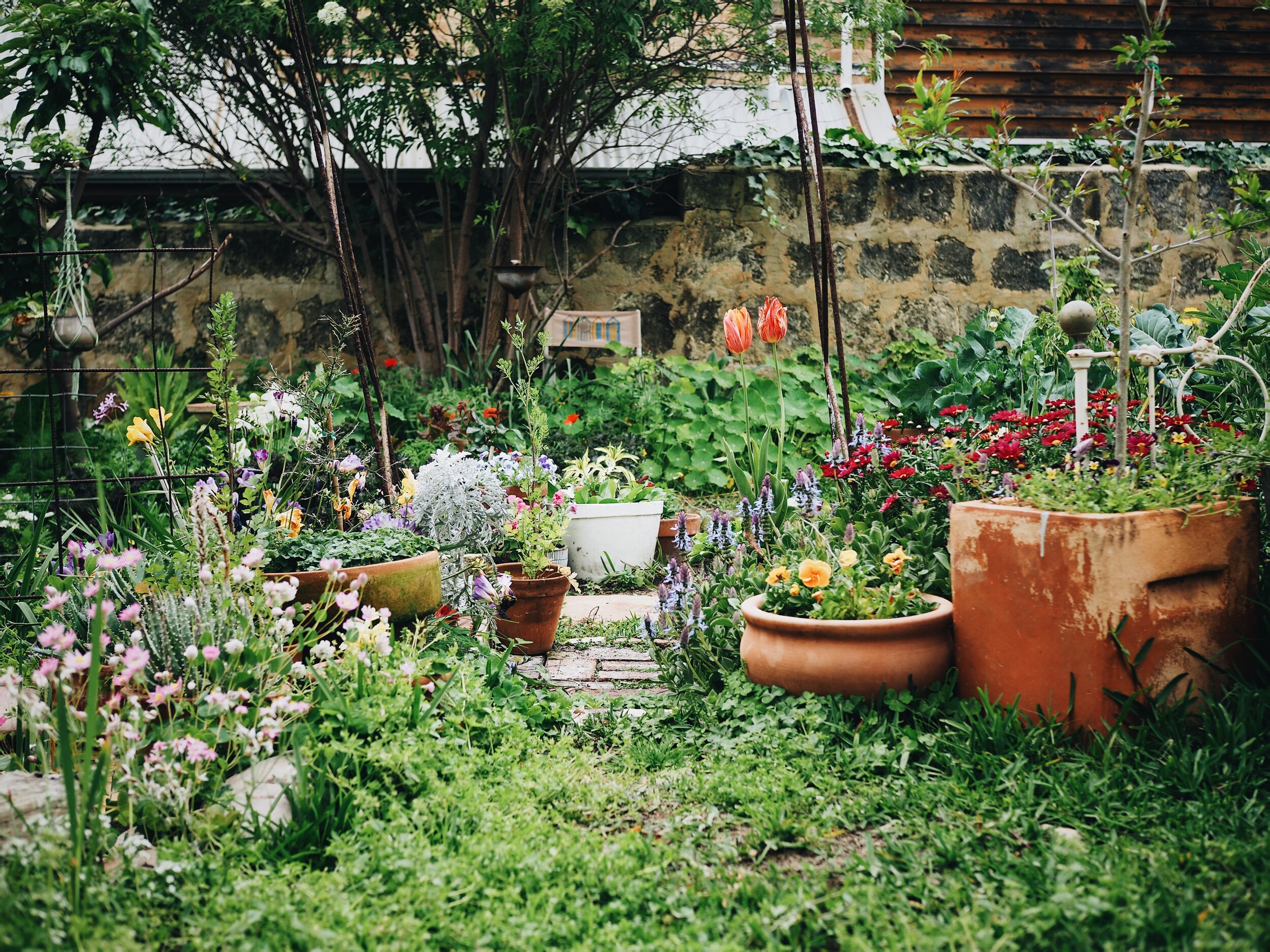 Image of Cottage garden with flowers, vegetables, and herbs