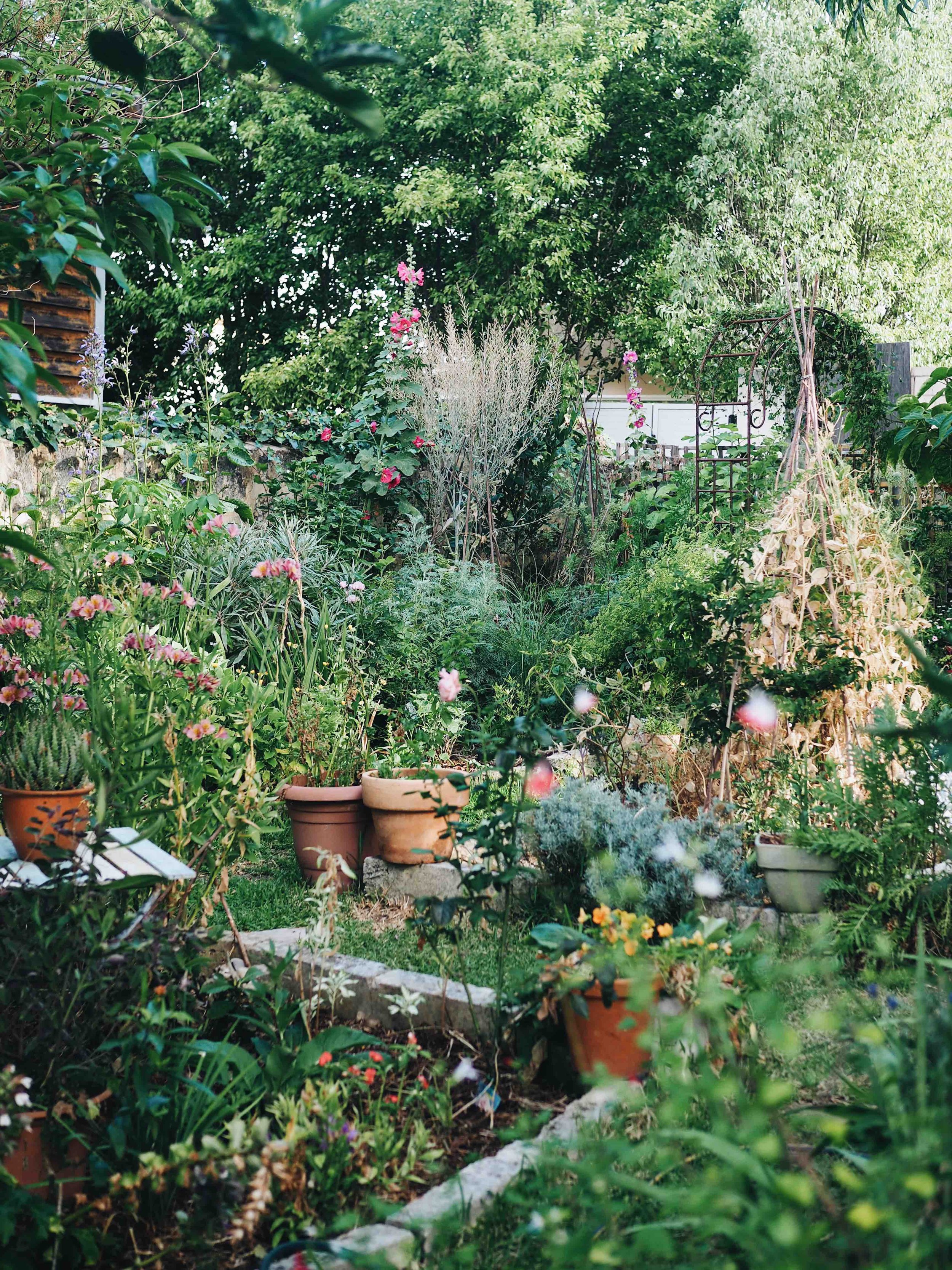 Gardening For Beginners