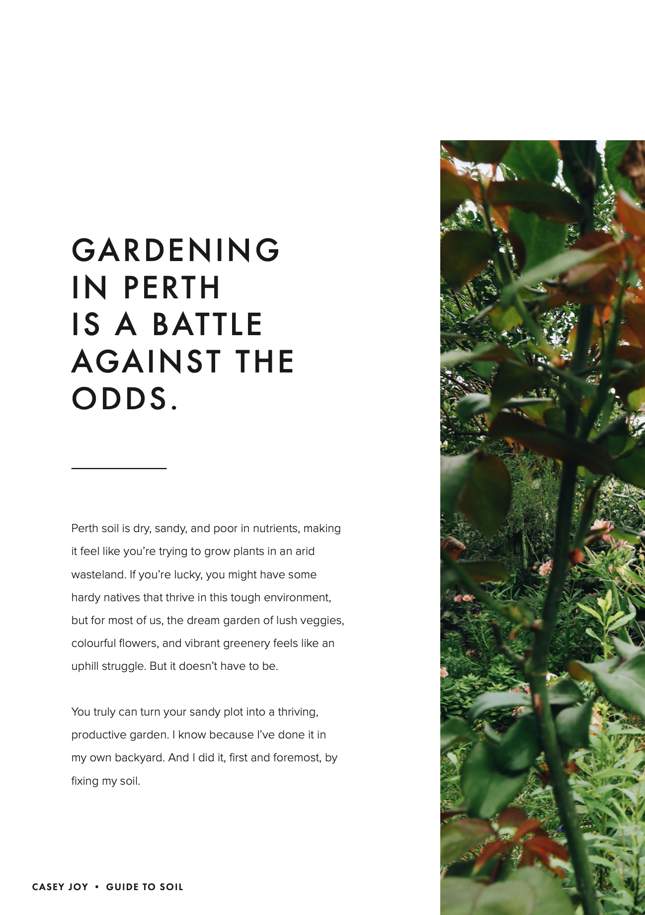 Screen Shot 2026-03-01 at 9.19.13 am.png