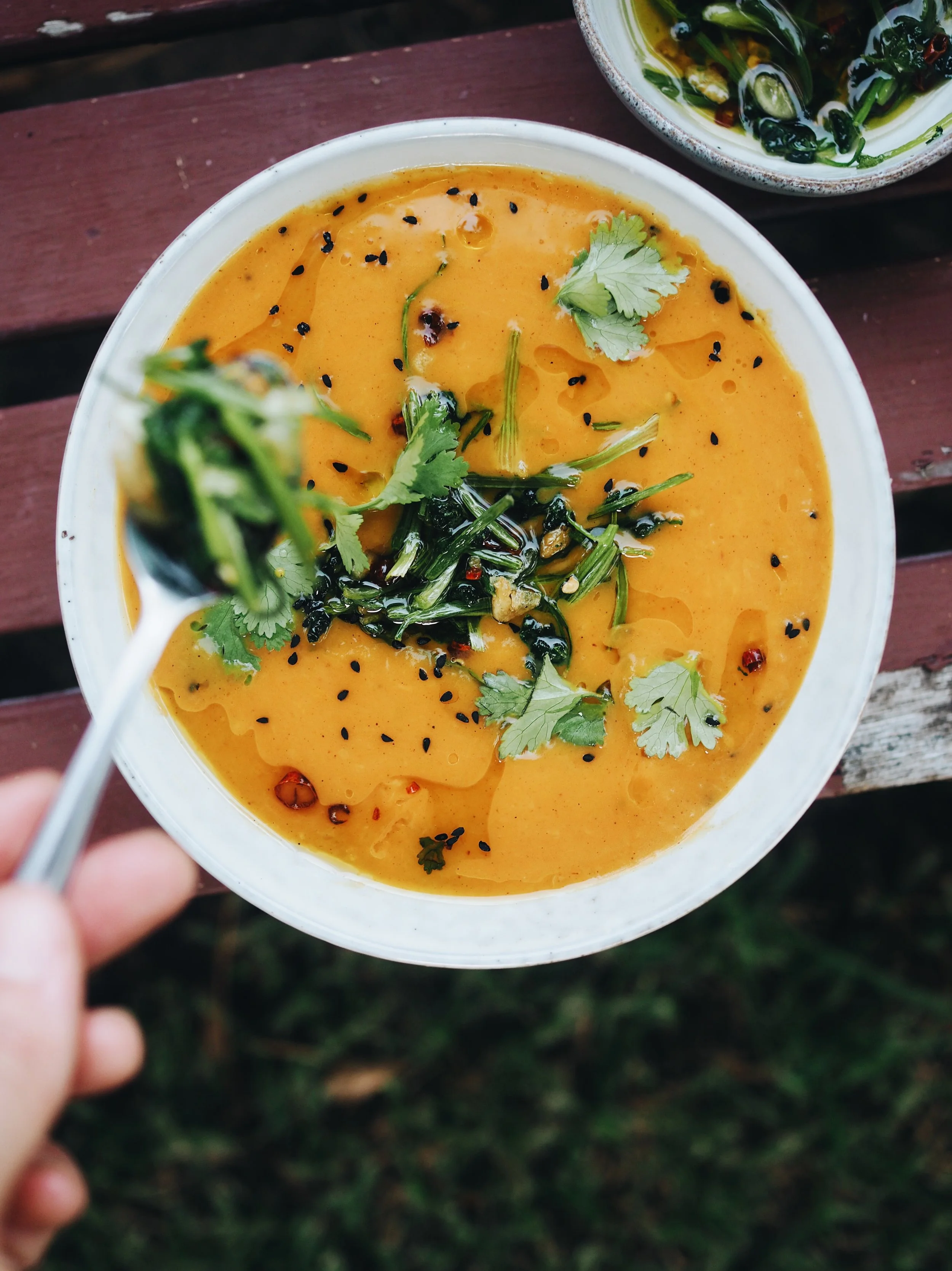 Pumpkin Soup 2.jpg