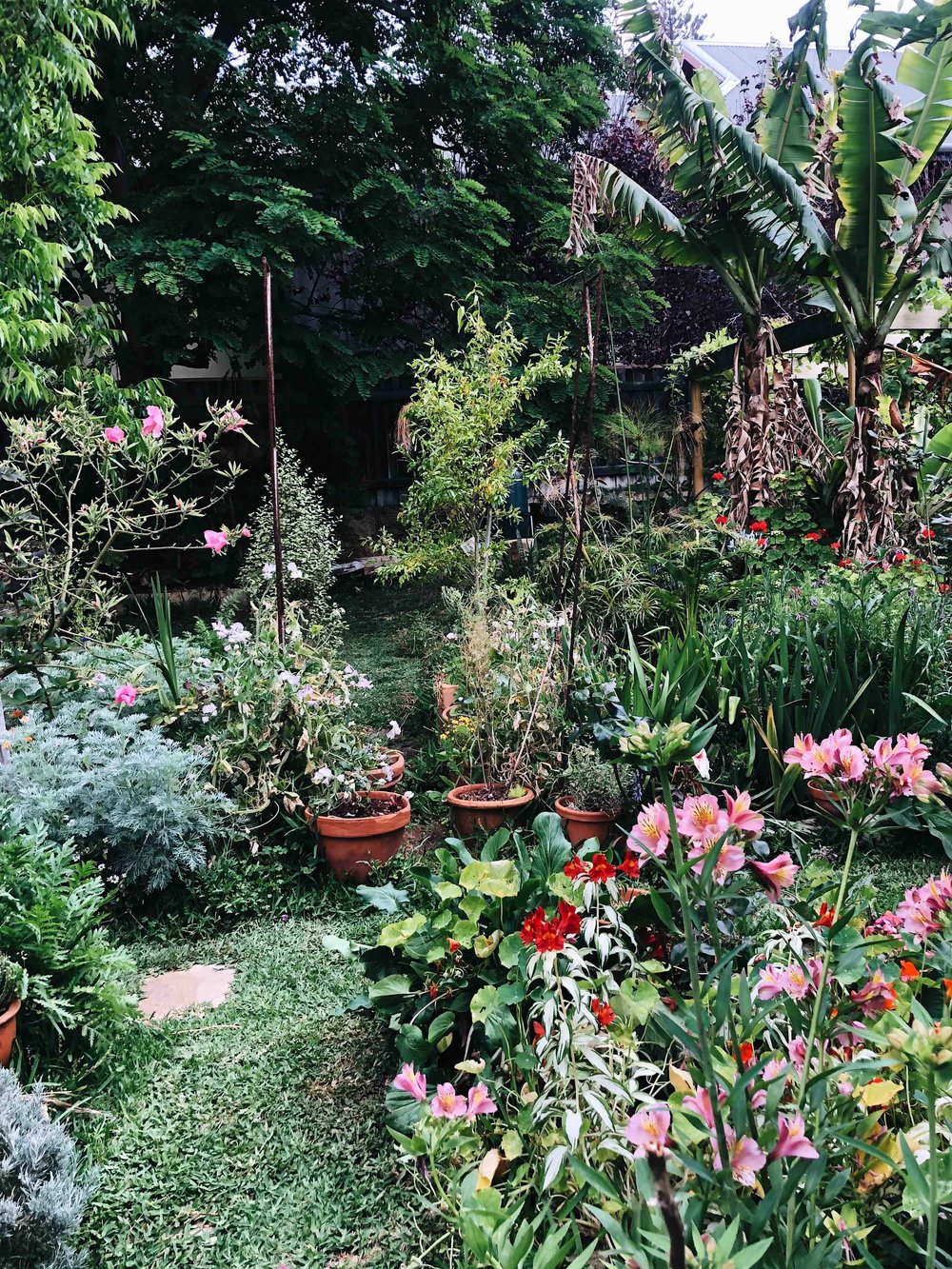 How to Cultivate a Beautiful Garden... Lazily. — Casey Joy | Seed ...