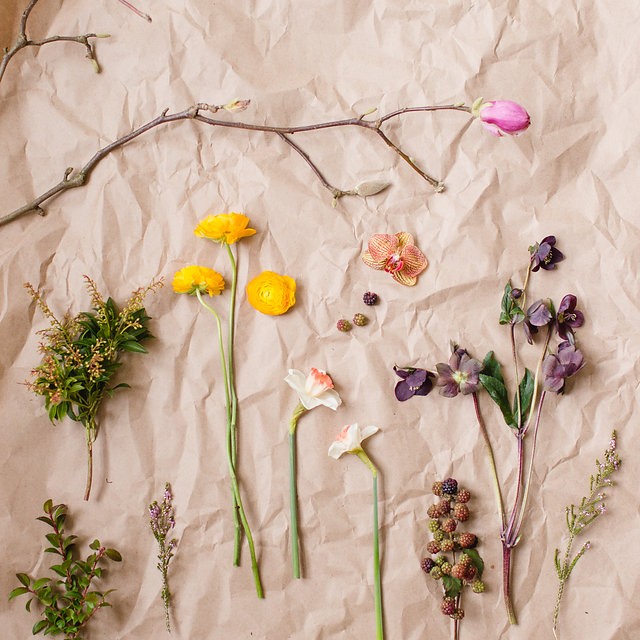 Victoria Anne Photography