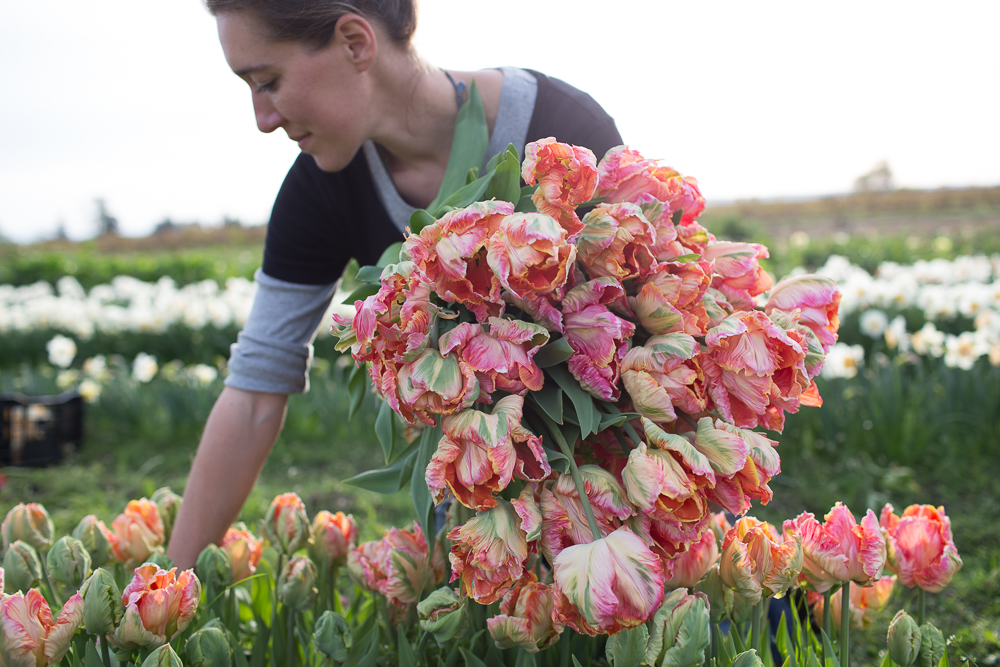 Erin from Floret Flowers
