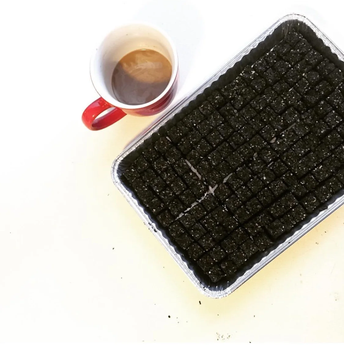 I use a soil block maker to start my seeds. I can start 160 seeds in a 9x13 foil baking pan with a plastic dome lid. This helps with my limited seed starting space.