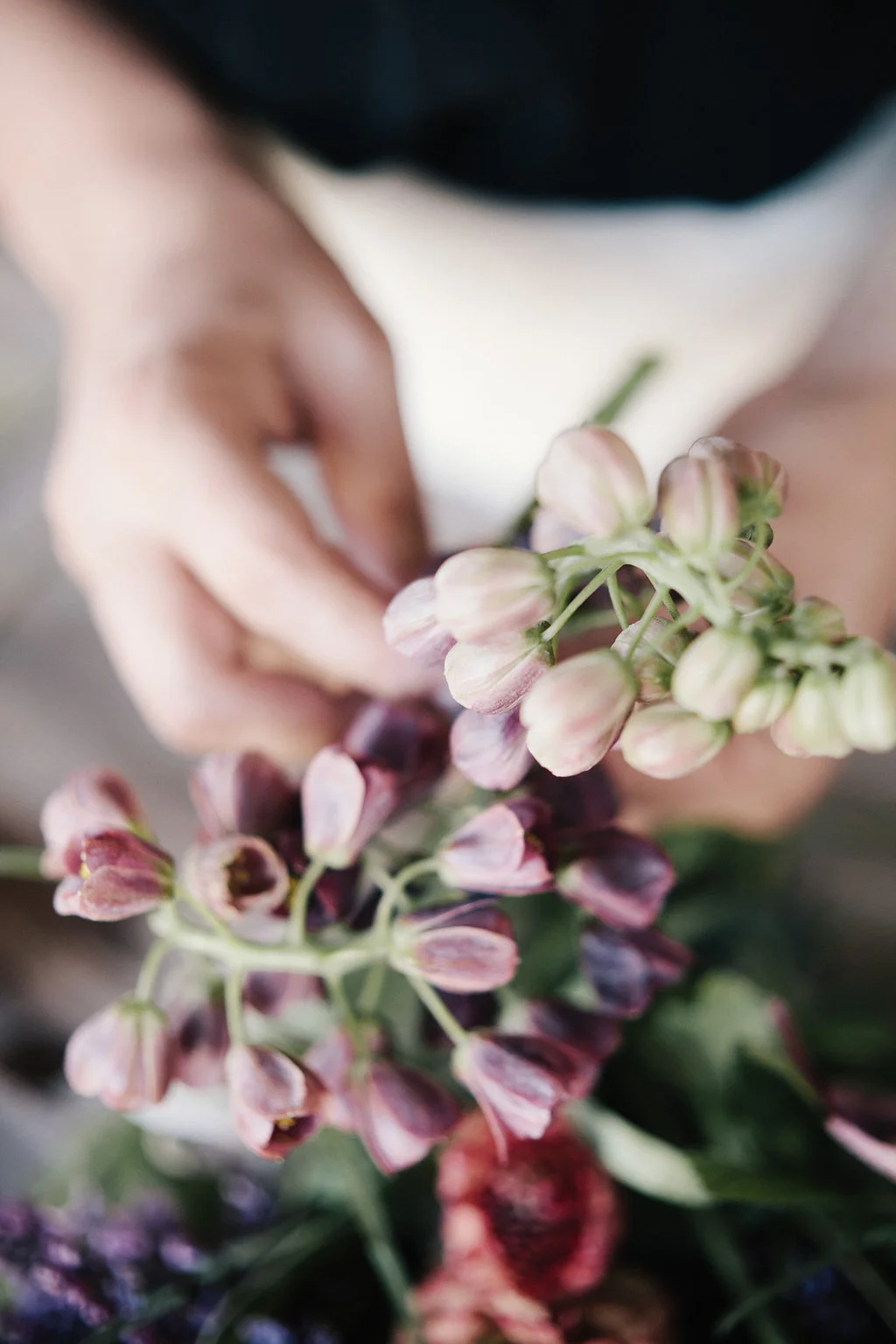 Lara Lam Photography