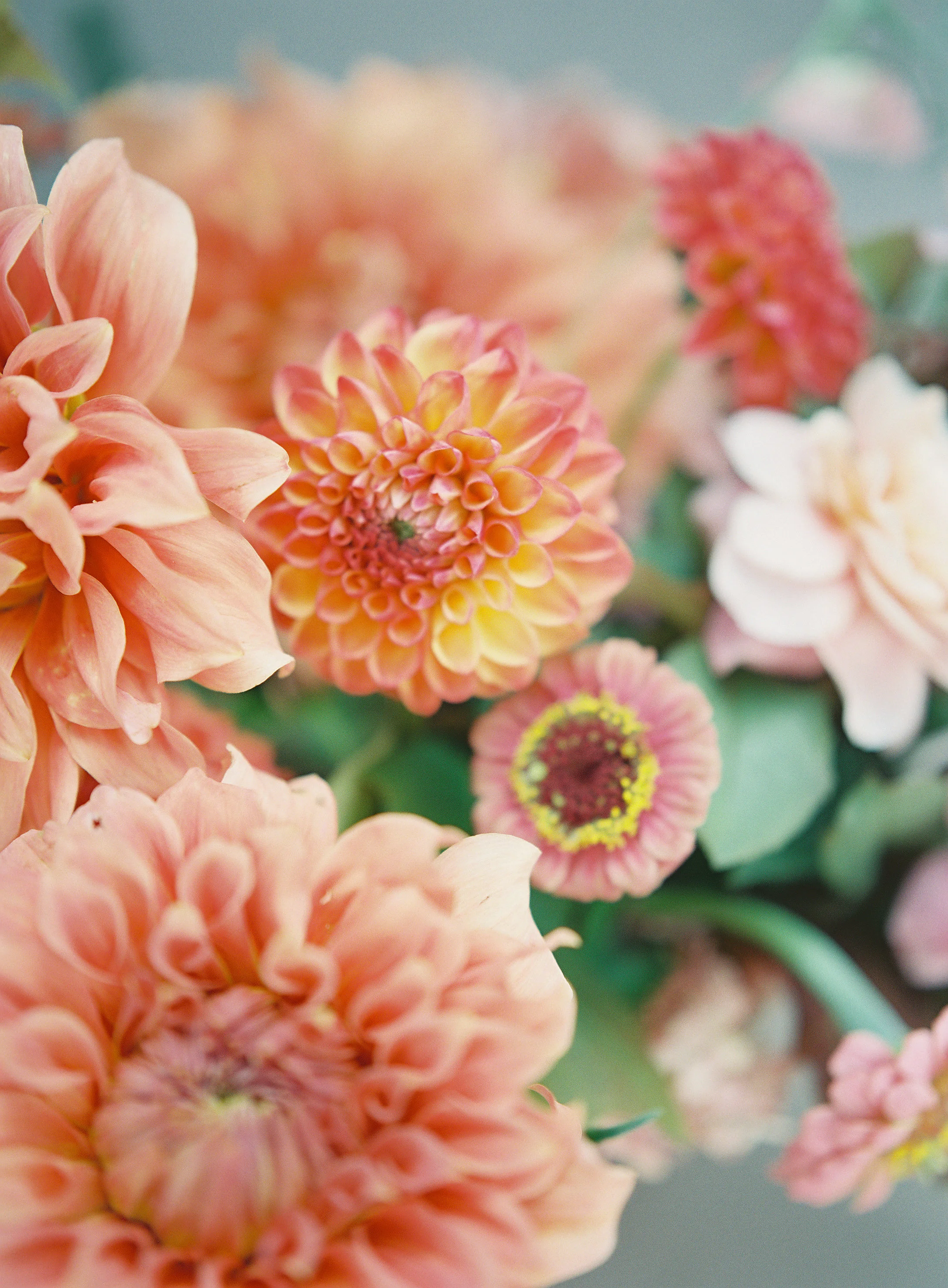 HeatherPayne_TeamFlowerJuly_023.jpg