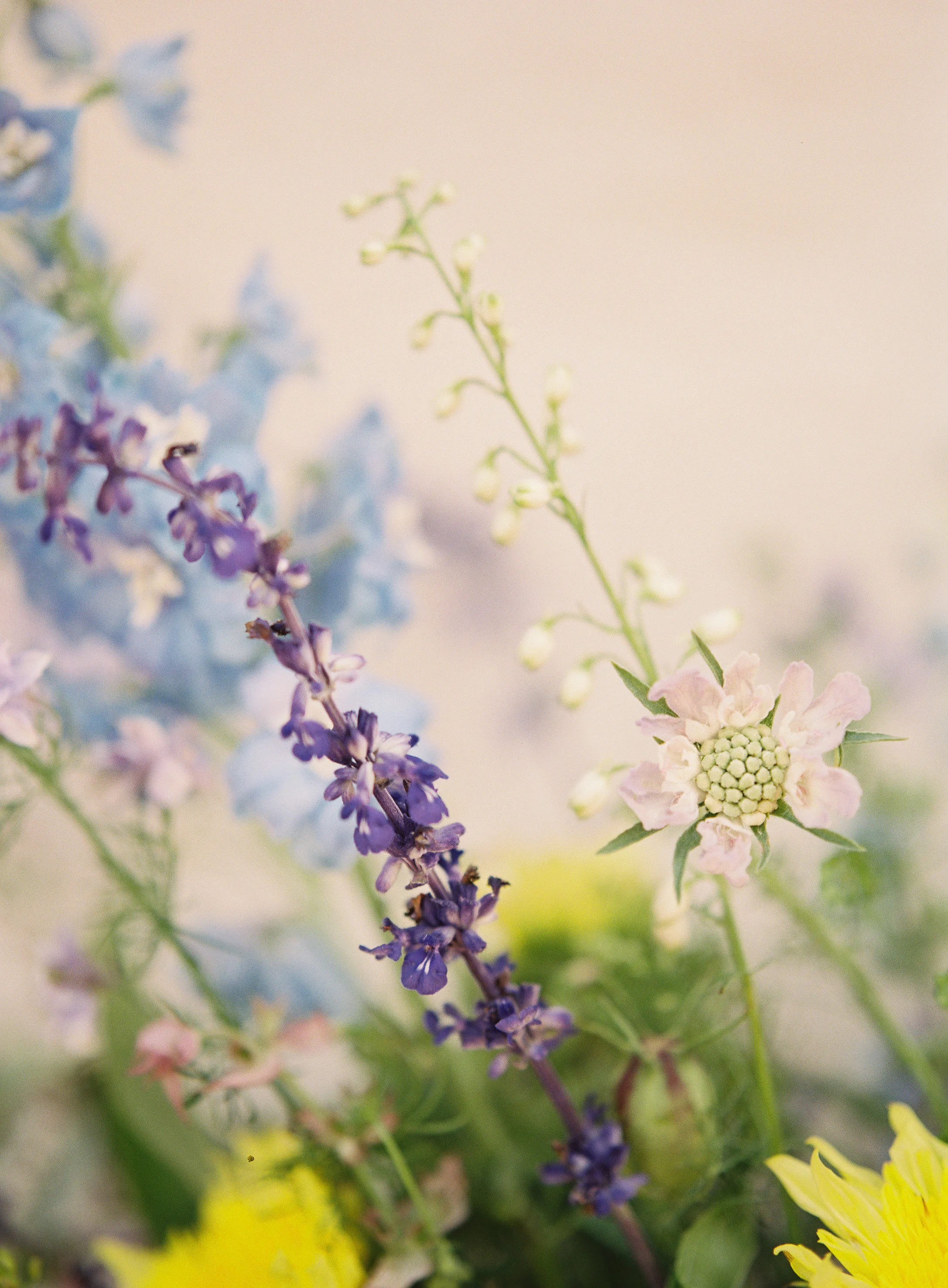 HeatherPayne_TeamFlowerJuly_064.jpg