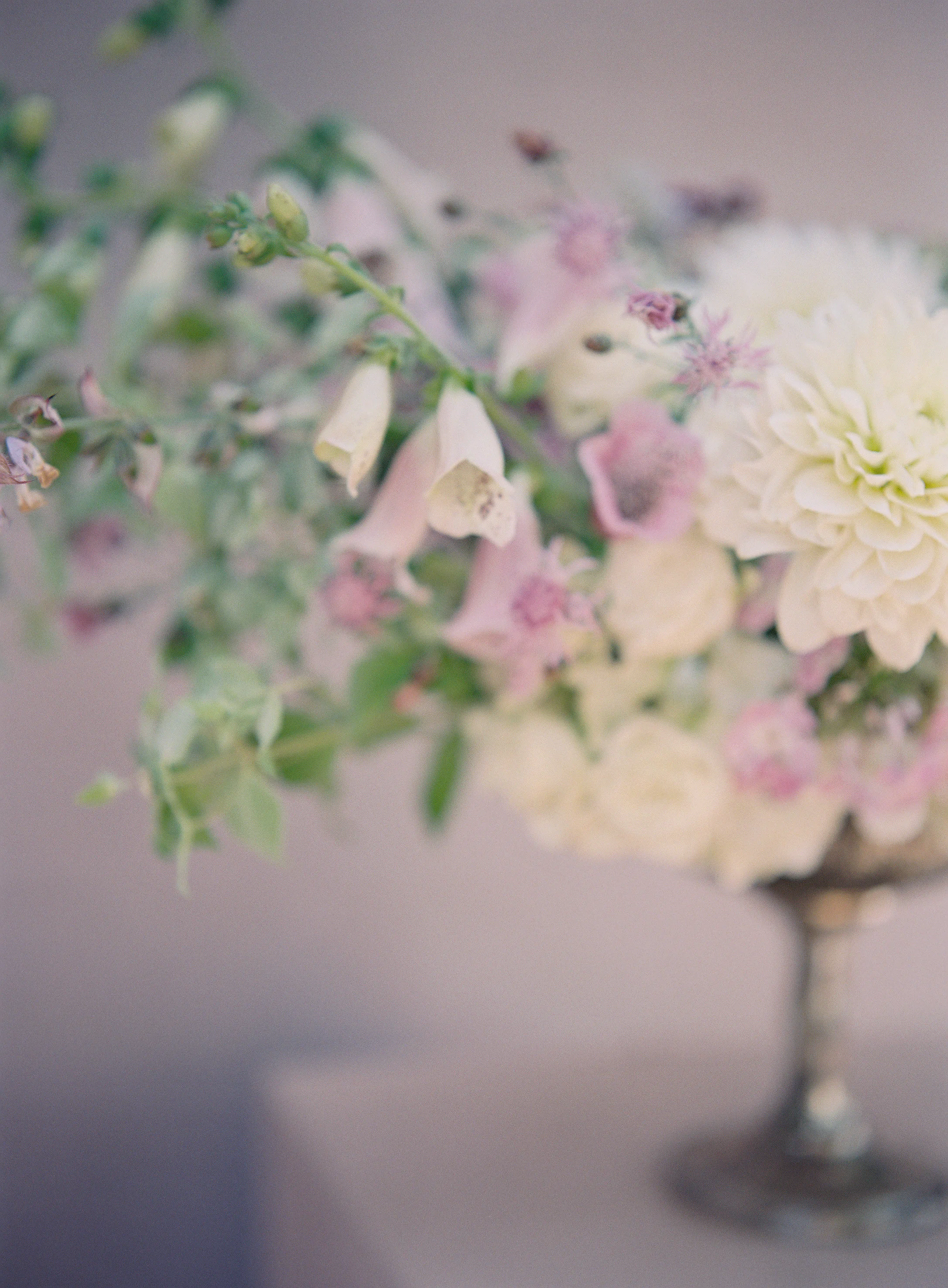 HeatherPayne_TeamFlowerJuly_053.jpg