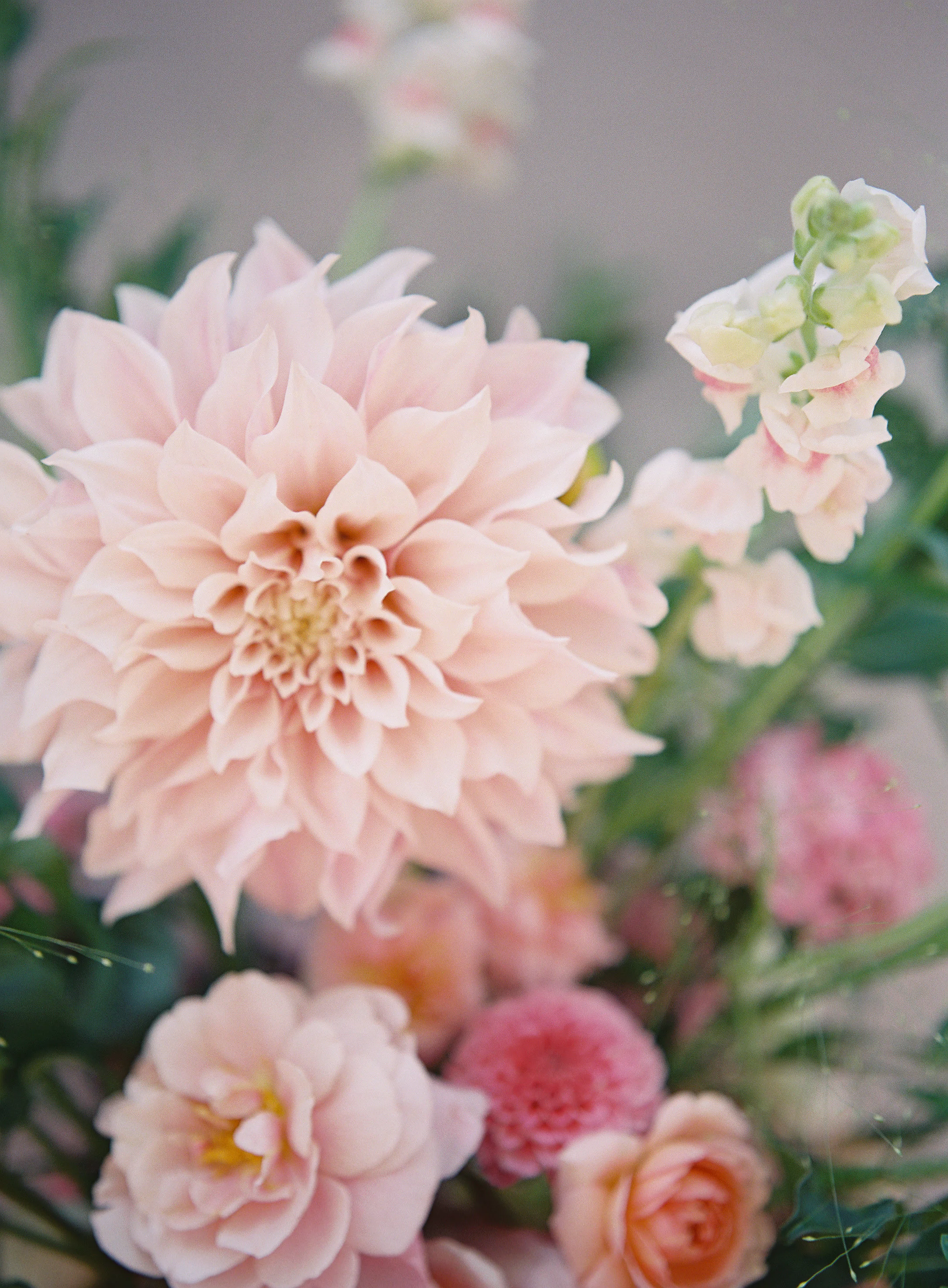 HeatherPayne_TeamFlowerJuly_057.jpg