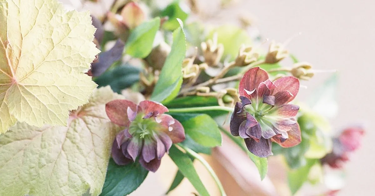 Unique Flower Gift Ideas