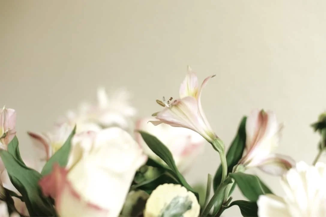 What is the purpose of flowers?