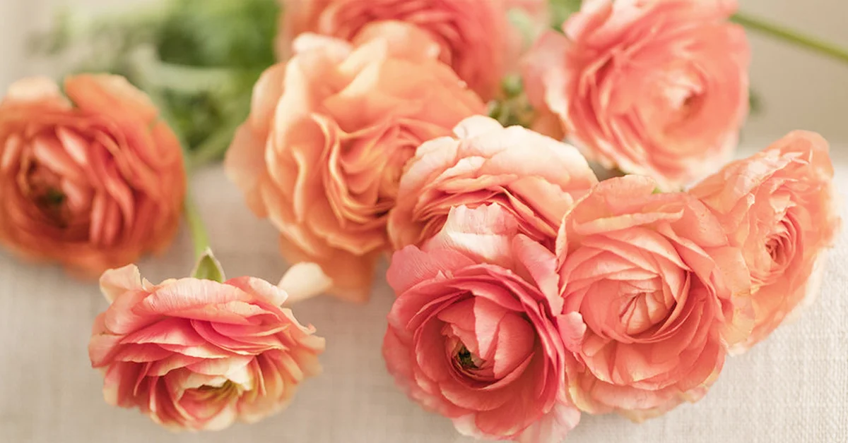 What is the meaning of flowers?