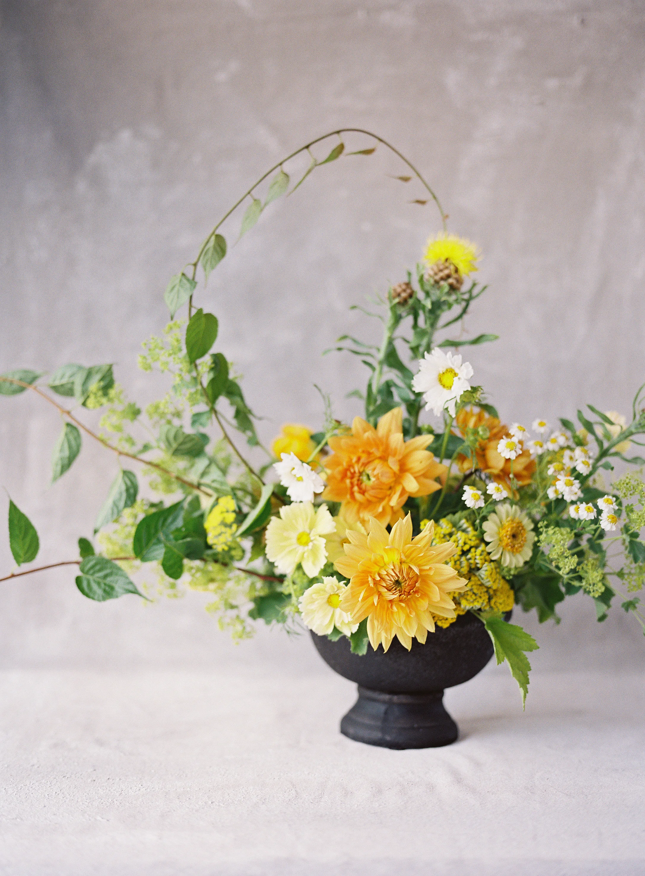Heather Payne Photography